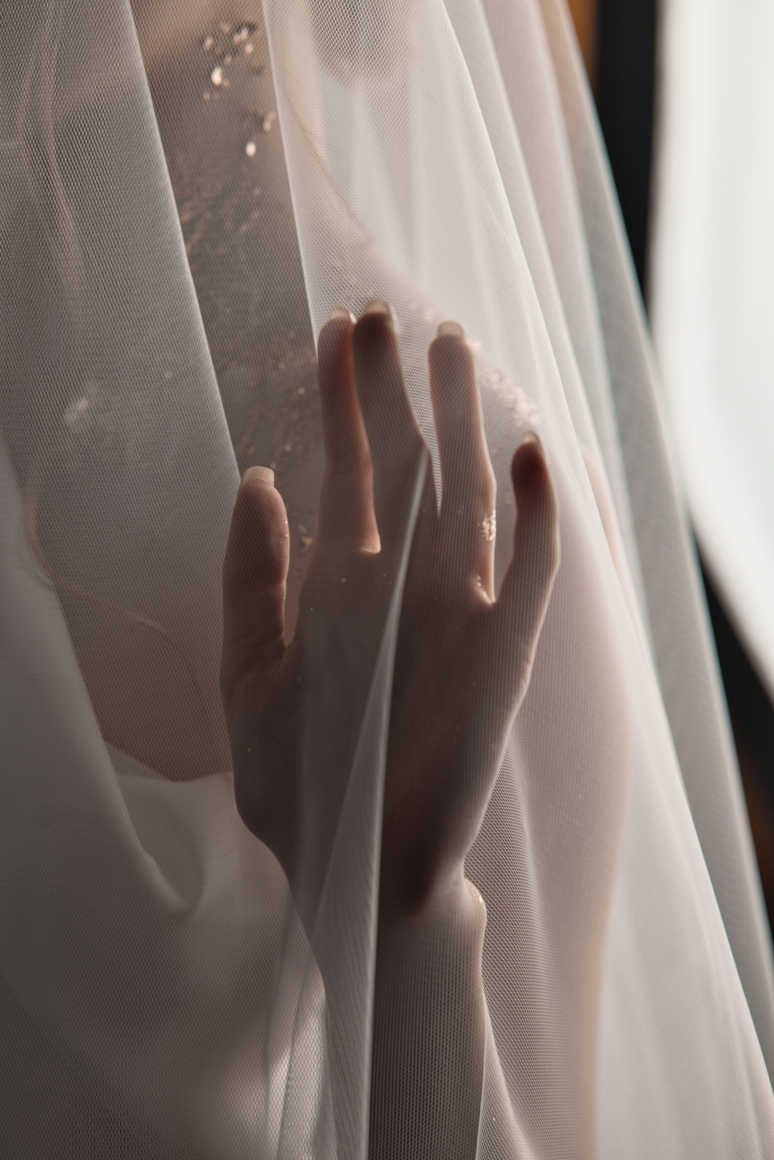 Тёплое золото. Фотограф Денис Кривопусков