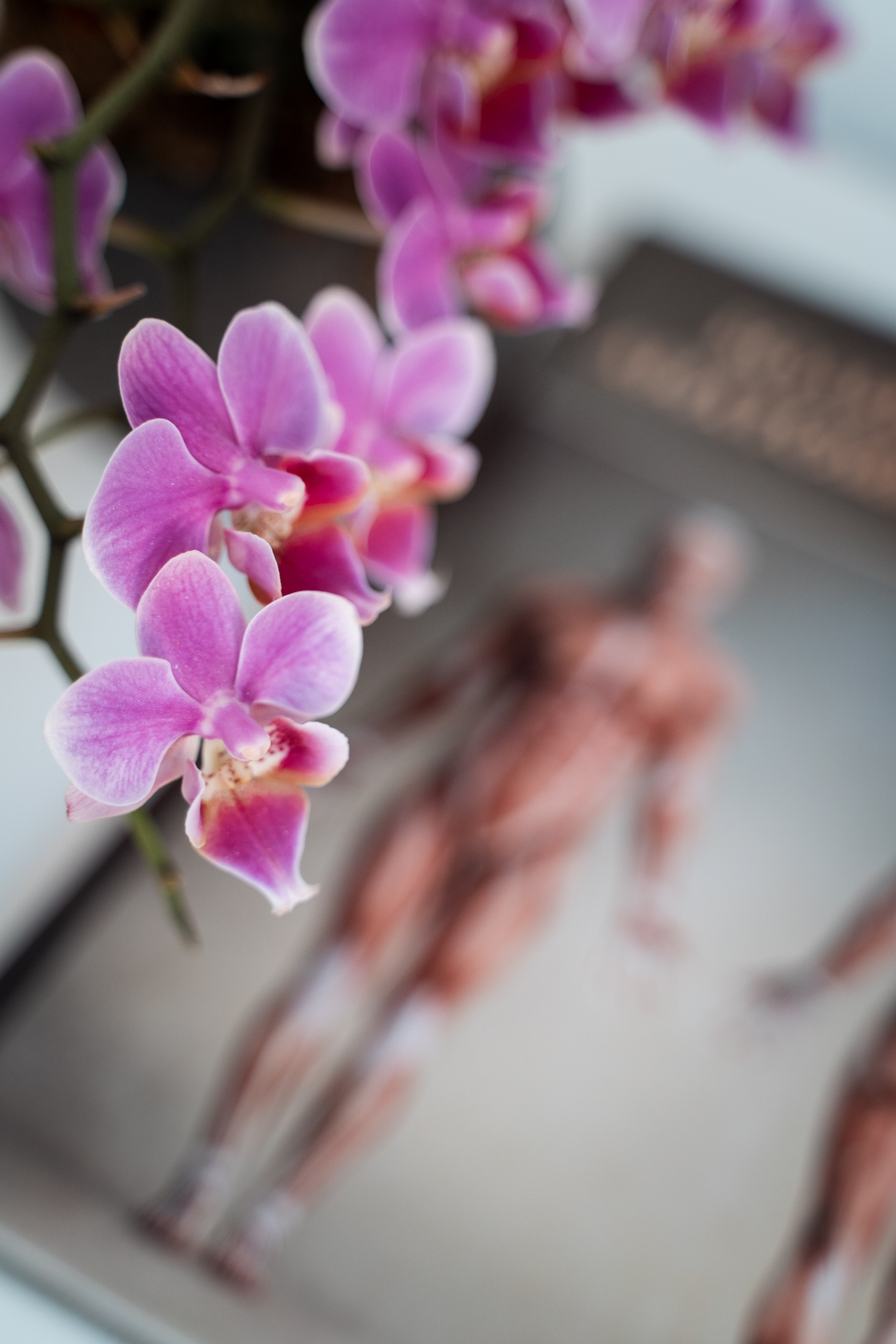 Servizio Fotografico per Eventi a Lucca, a Firenze, in Toscana. Fotografa di Famiglia in Toscana, Lucca