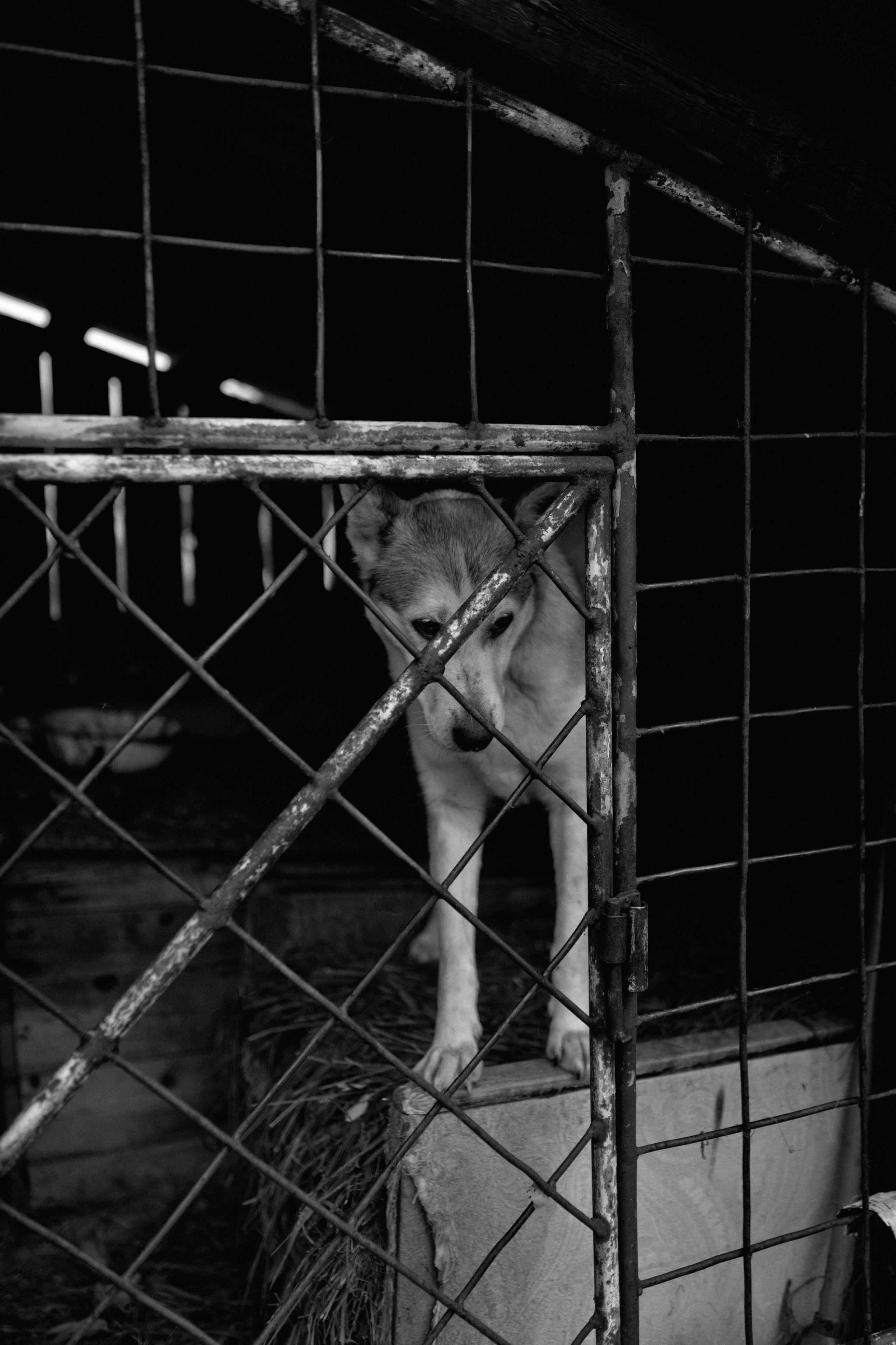 VLADA. ФОТОГРАФ Екатеринбург Москва Анастасия Замесина