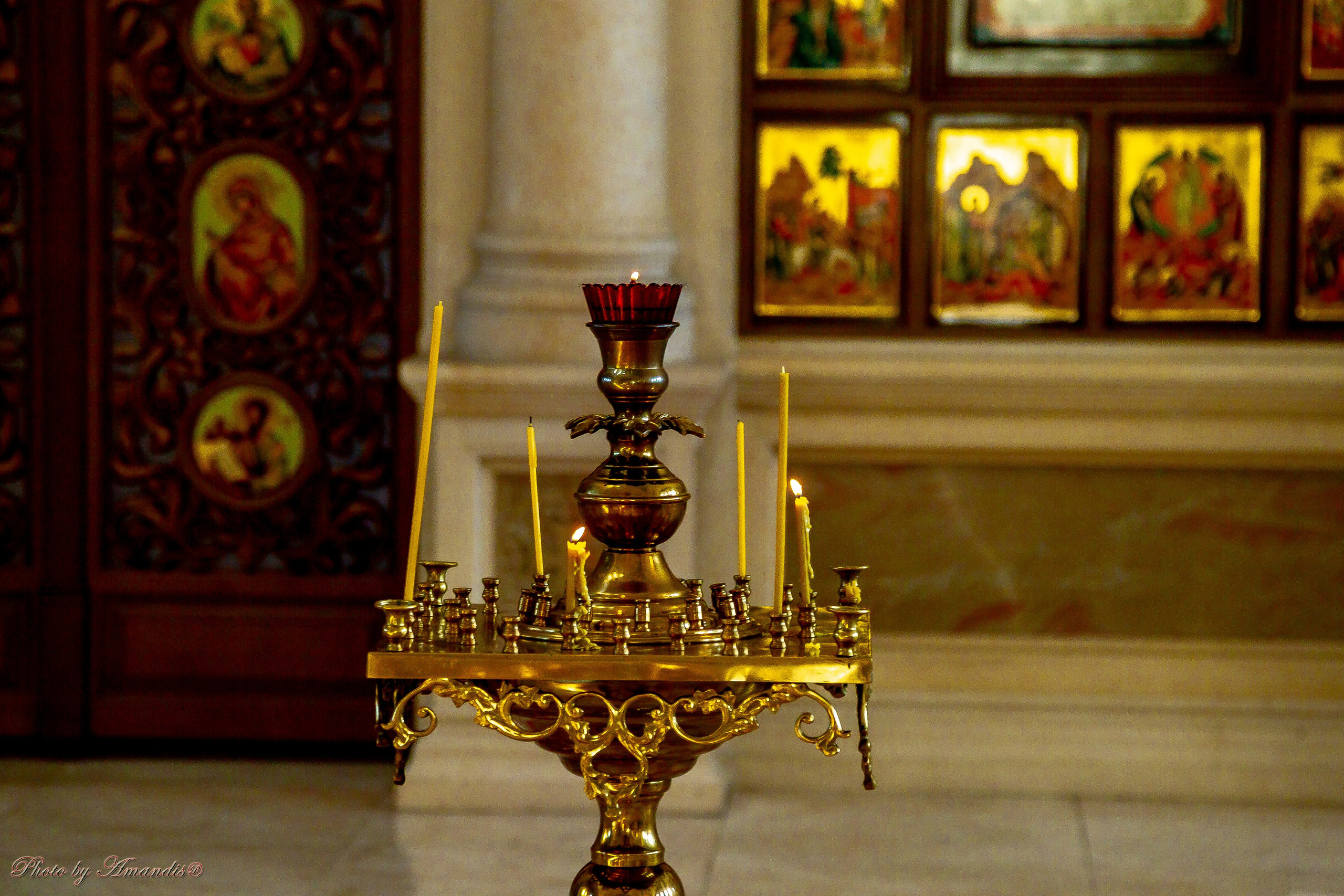 Крещение в с. Константиново (январь 2026). Репортажная съемка в Москве и области. Анималистика