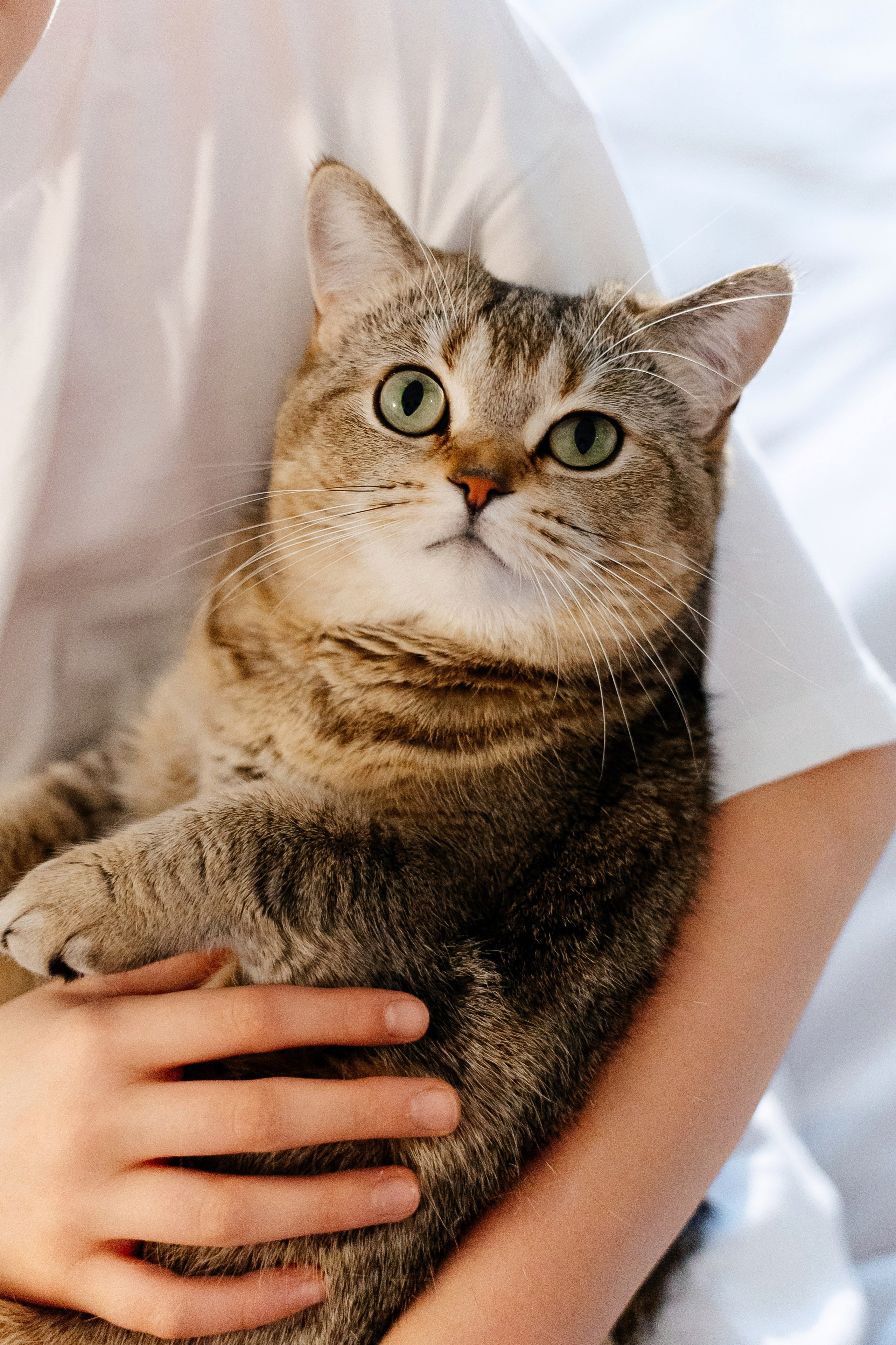 Пол годика до годика. Семейный и детский фотограф в Москве Александра Мак