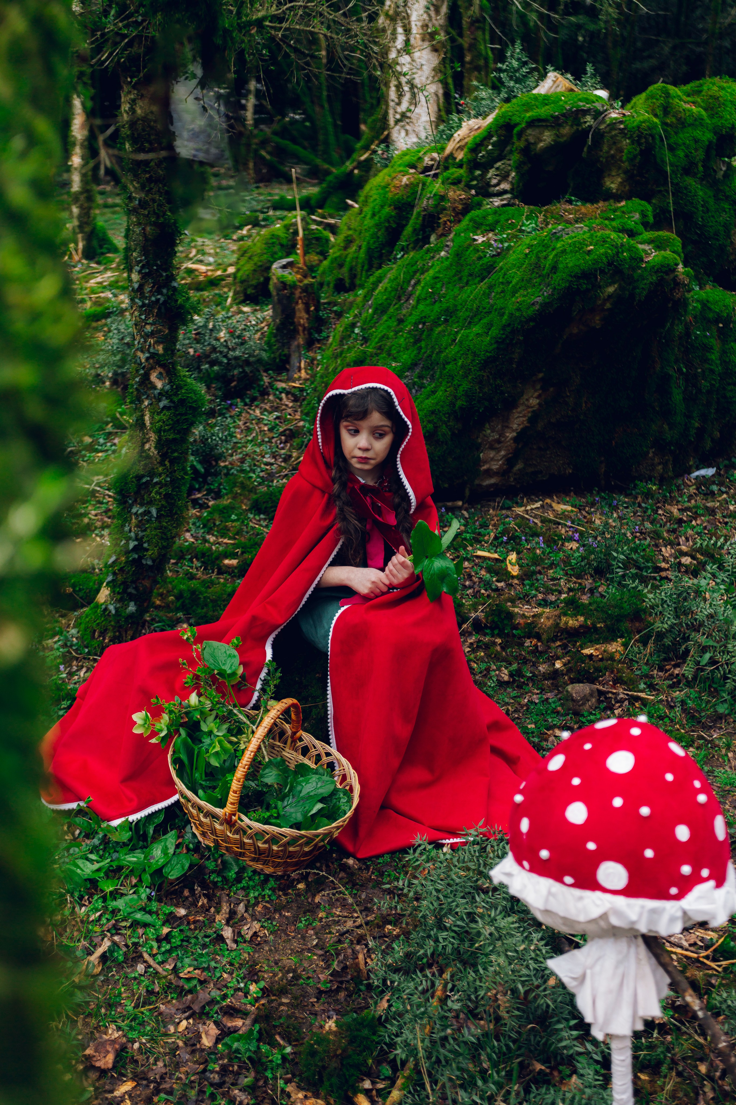 Самшитовая роща. Семейный и художественный фотограф в Тюмени Юлия Логинова