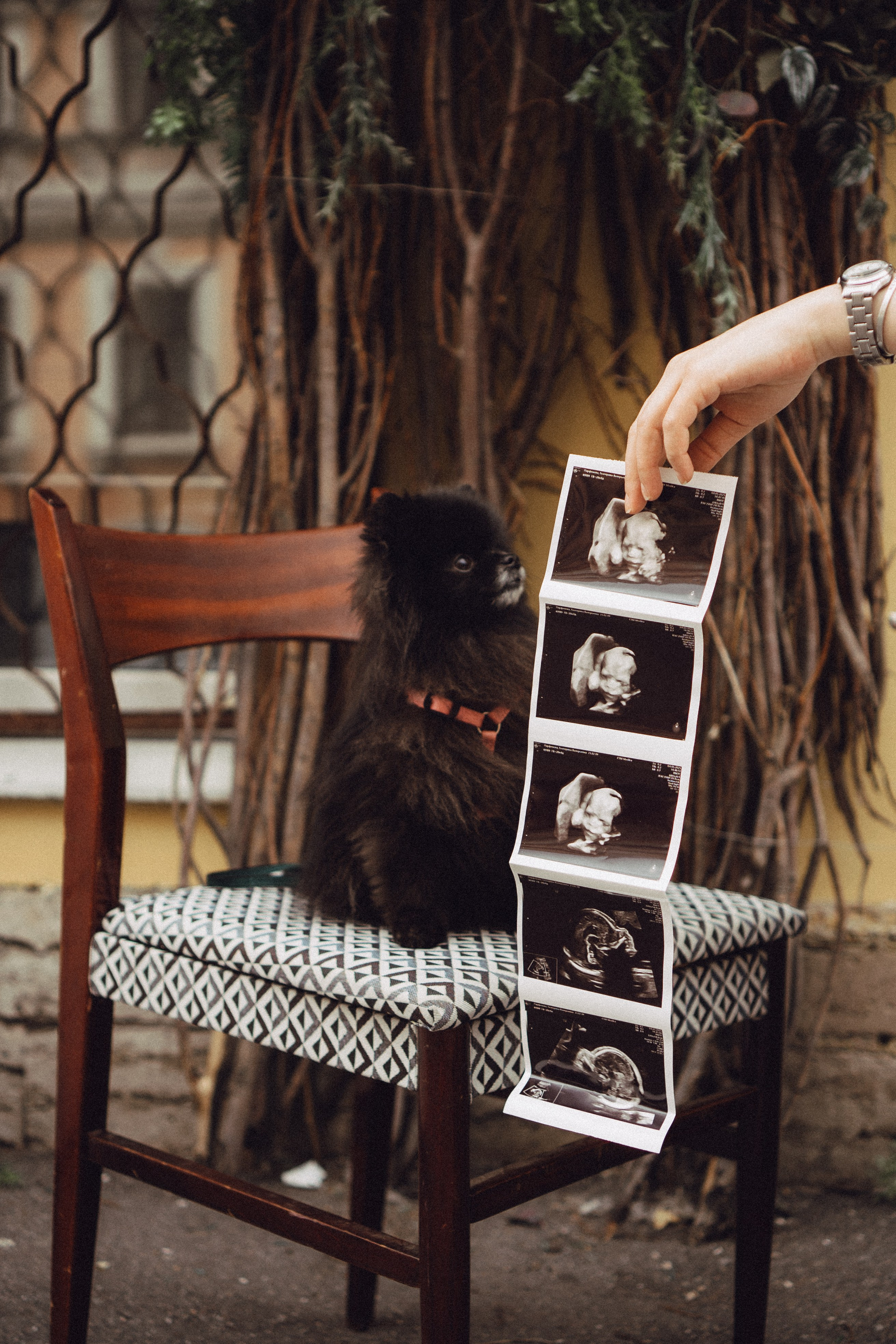 Беременность (только часть фото по желанию клиентов могу показать)). Профессиональный фотограф, Санкт-Петербург — Виктория Богомолова