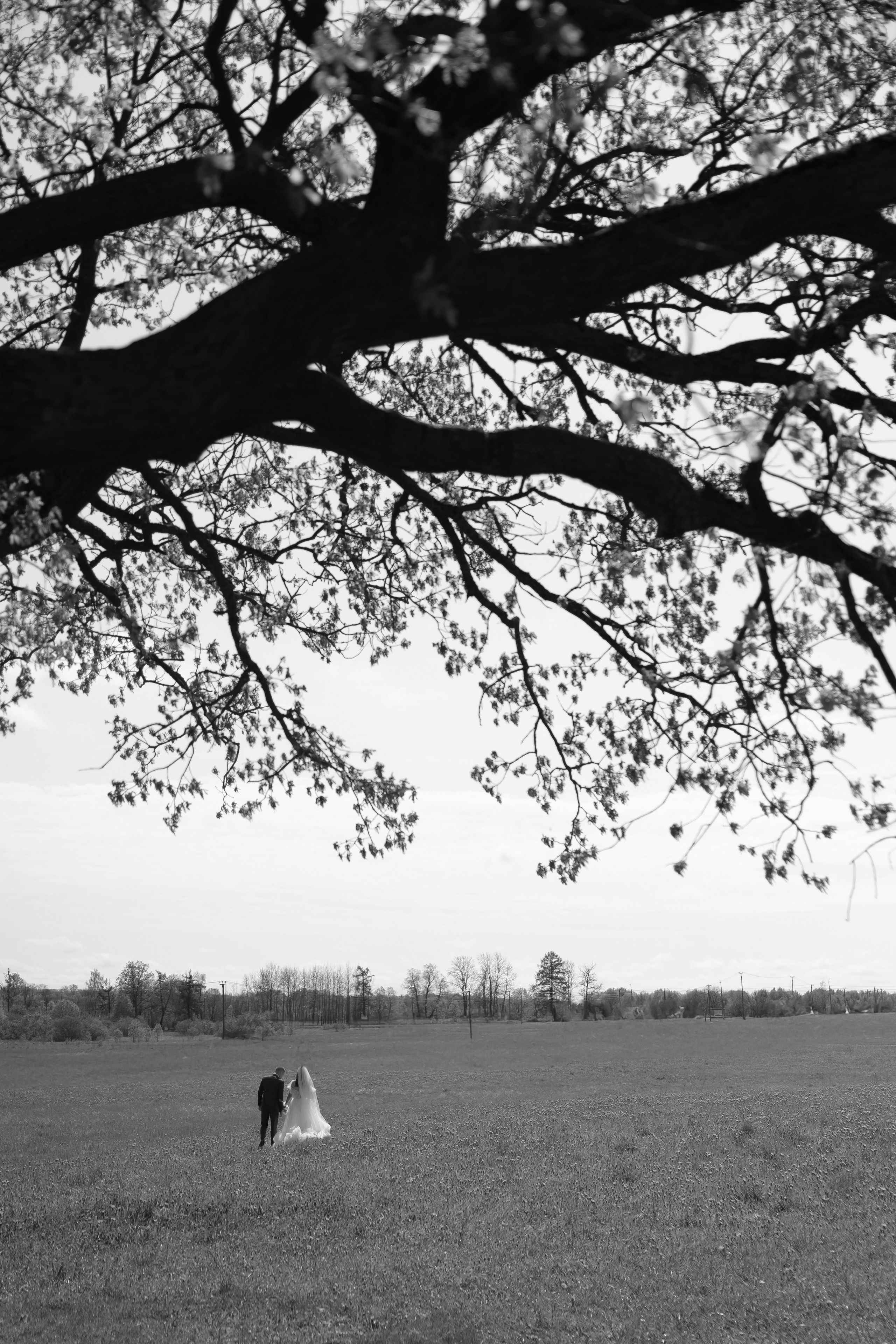 Однажды в сказке. Свадебный и семейный фотограф Арина Кулёва