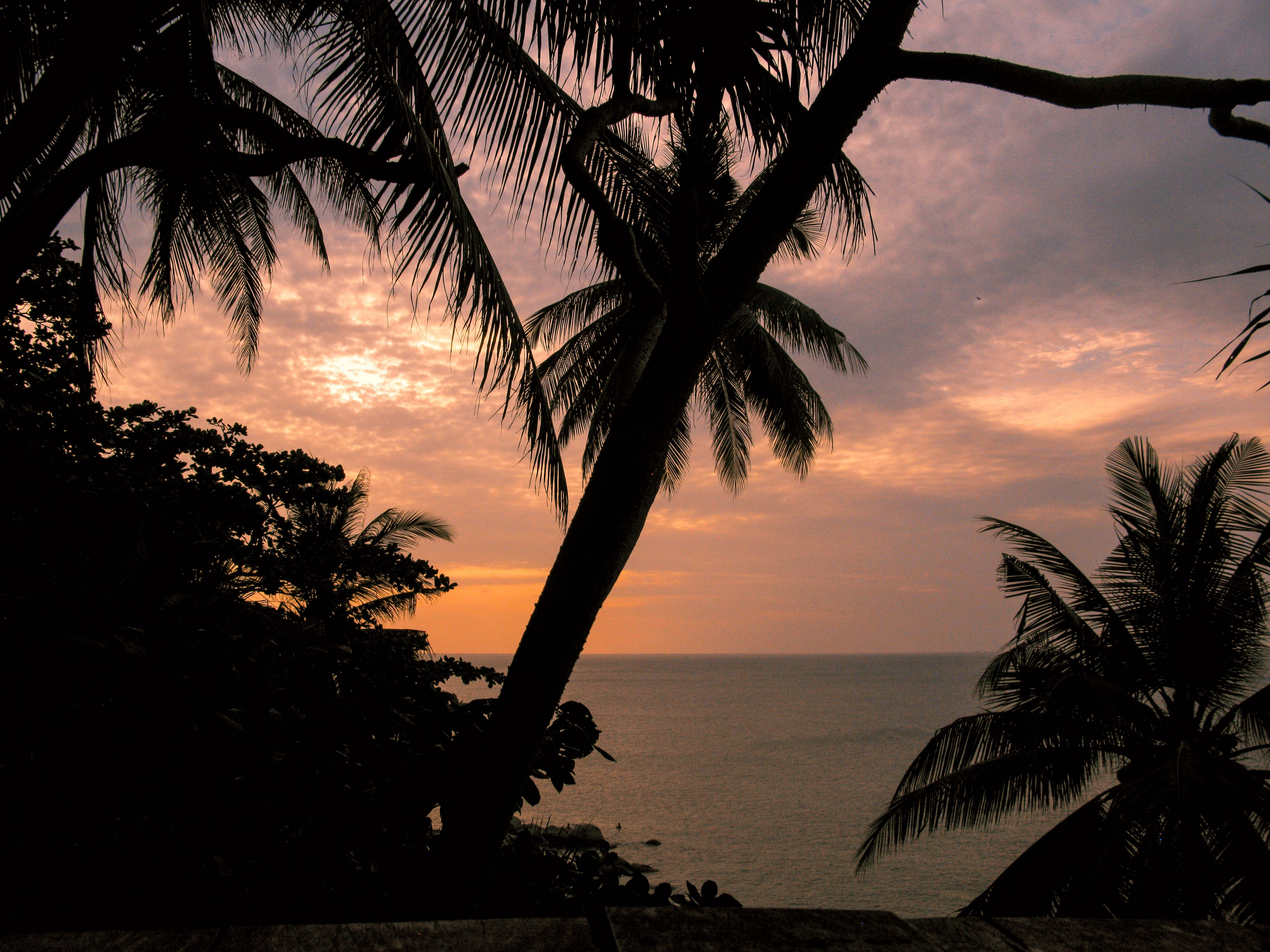 Thai. Фотограф Миланазавр