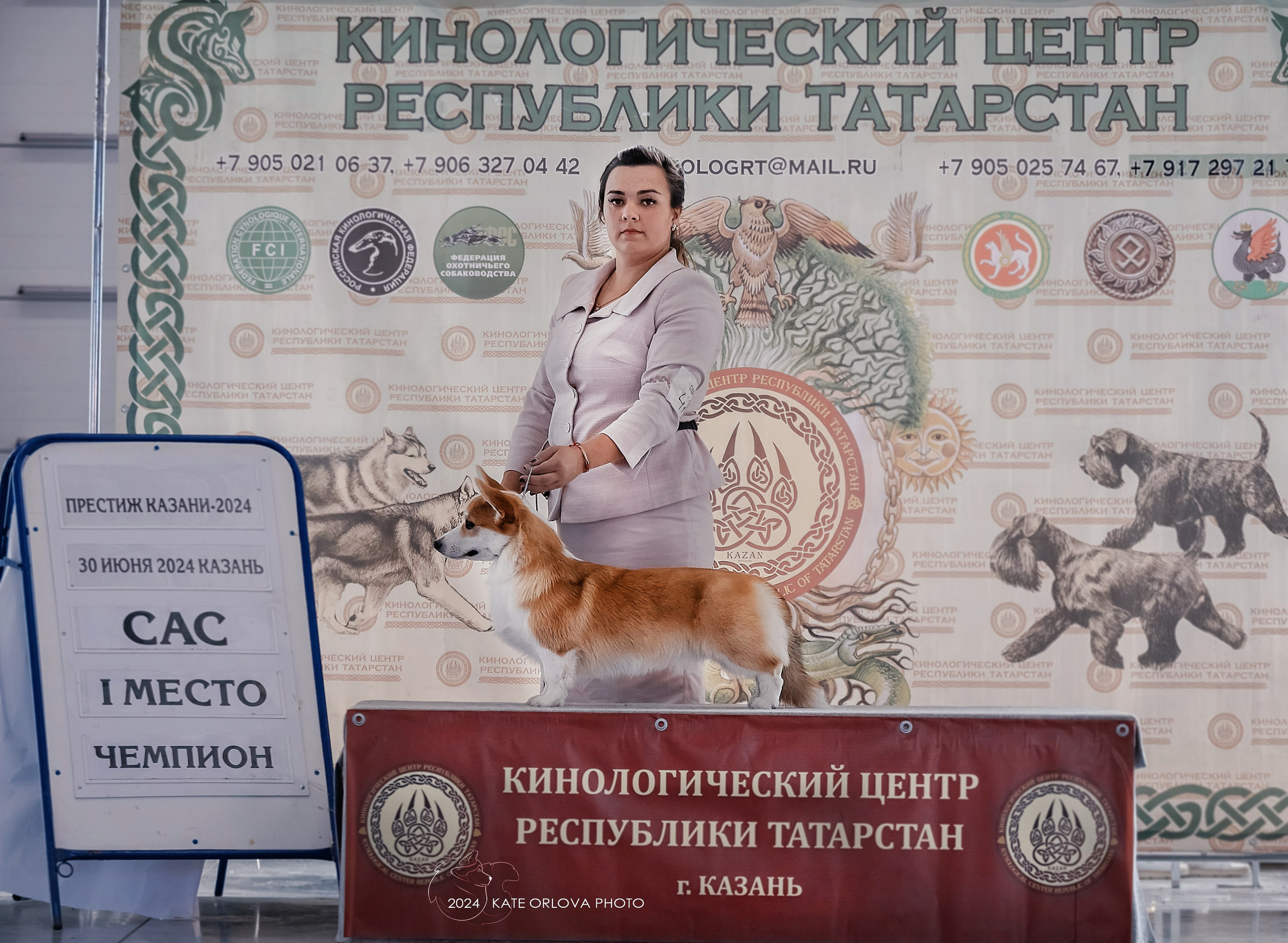 Фотосъемка собак, щенков, на выставках, фотограф анималист Россия воронеж. Питомник собак Акита, Хаски, Корги