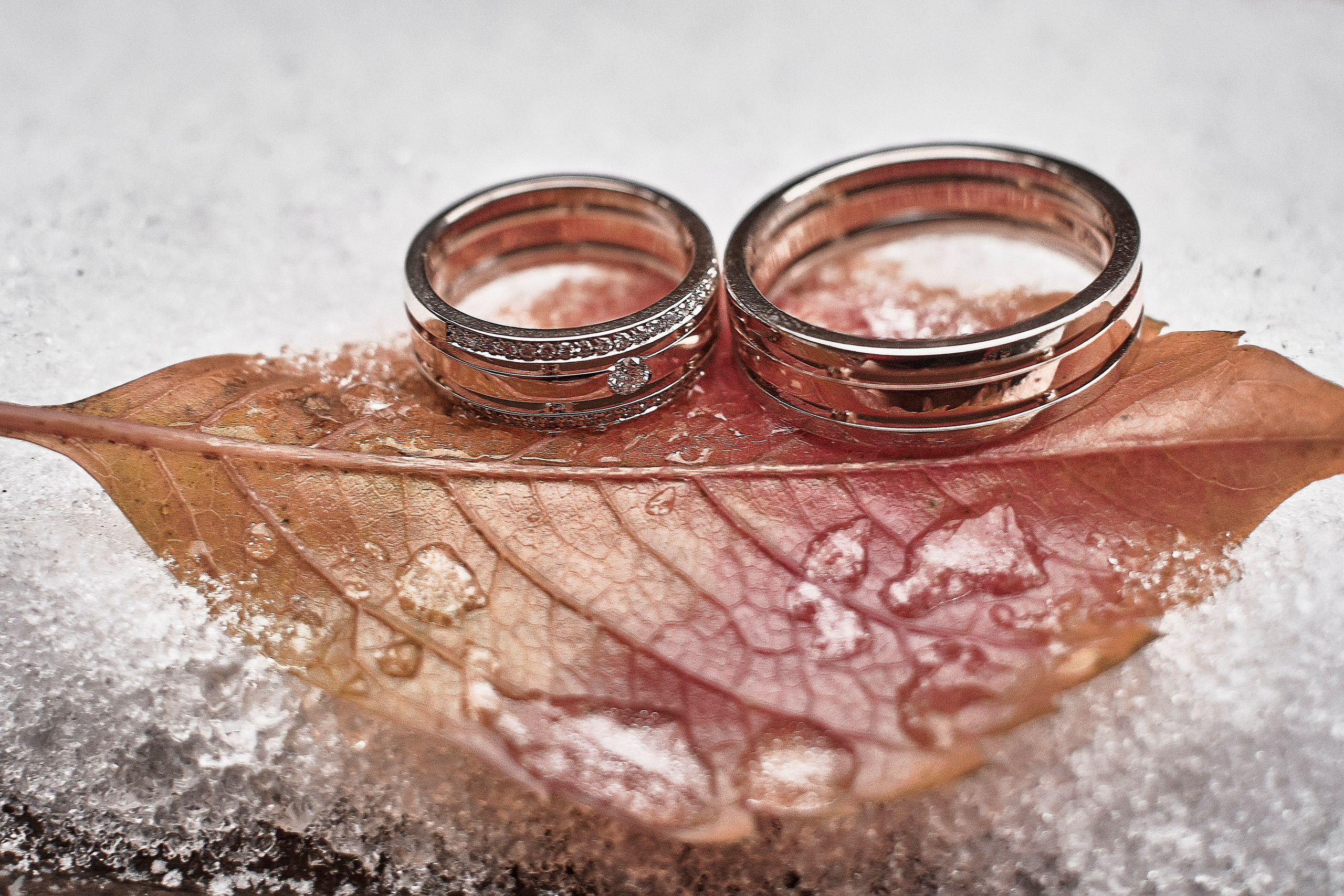 Фотограф Артём Маньшин