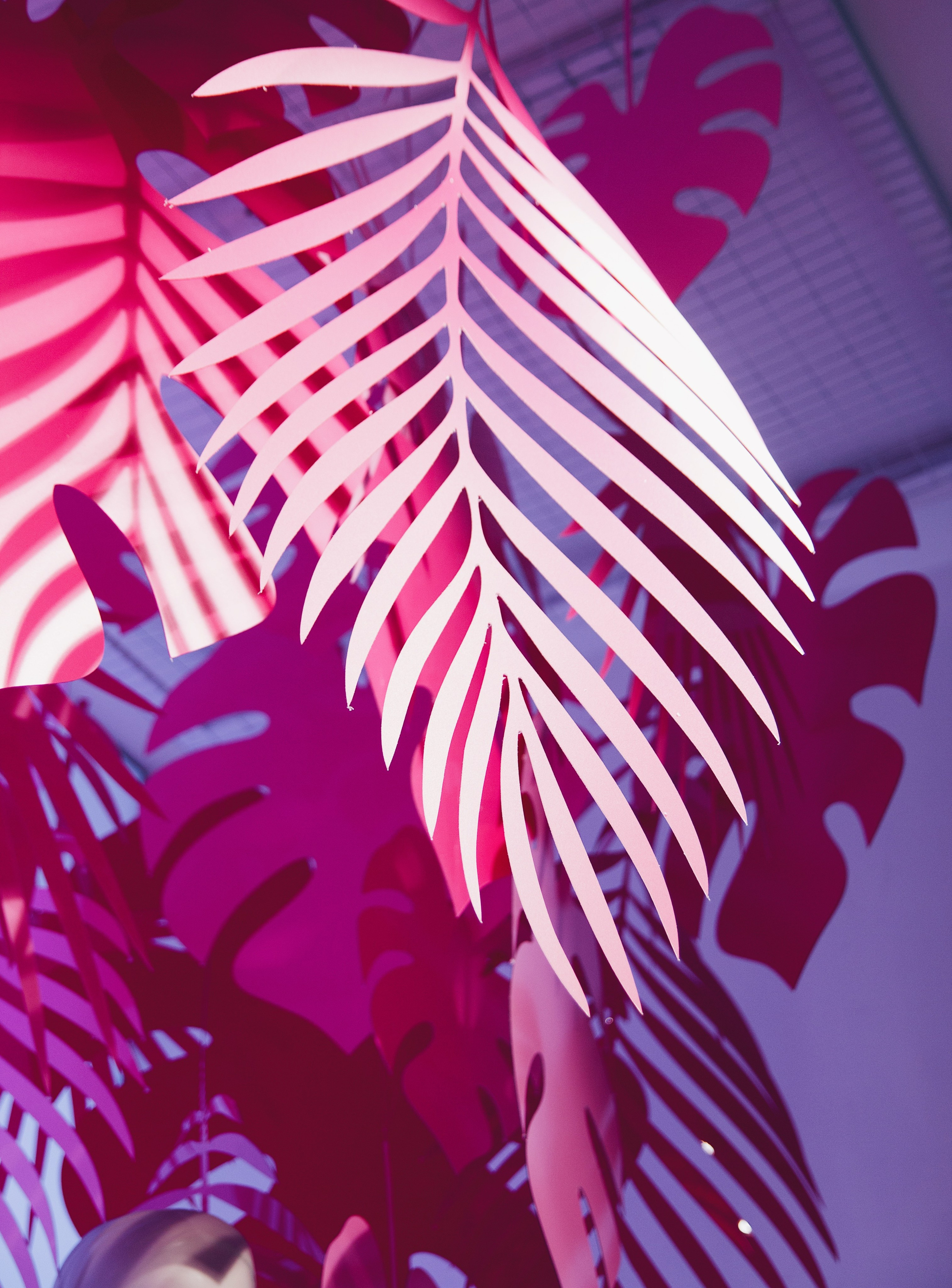 Оформление витрин Универмаг первый 2023. Ксения Почтарь. Декоратор и флорист, город Владивосток