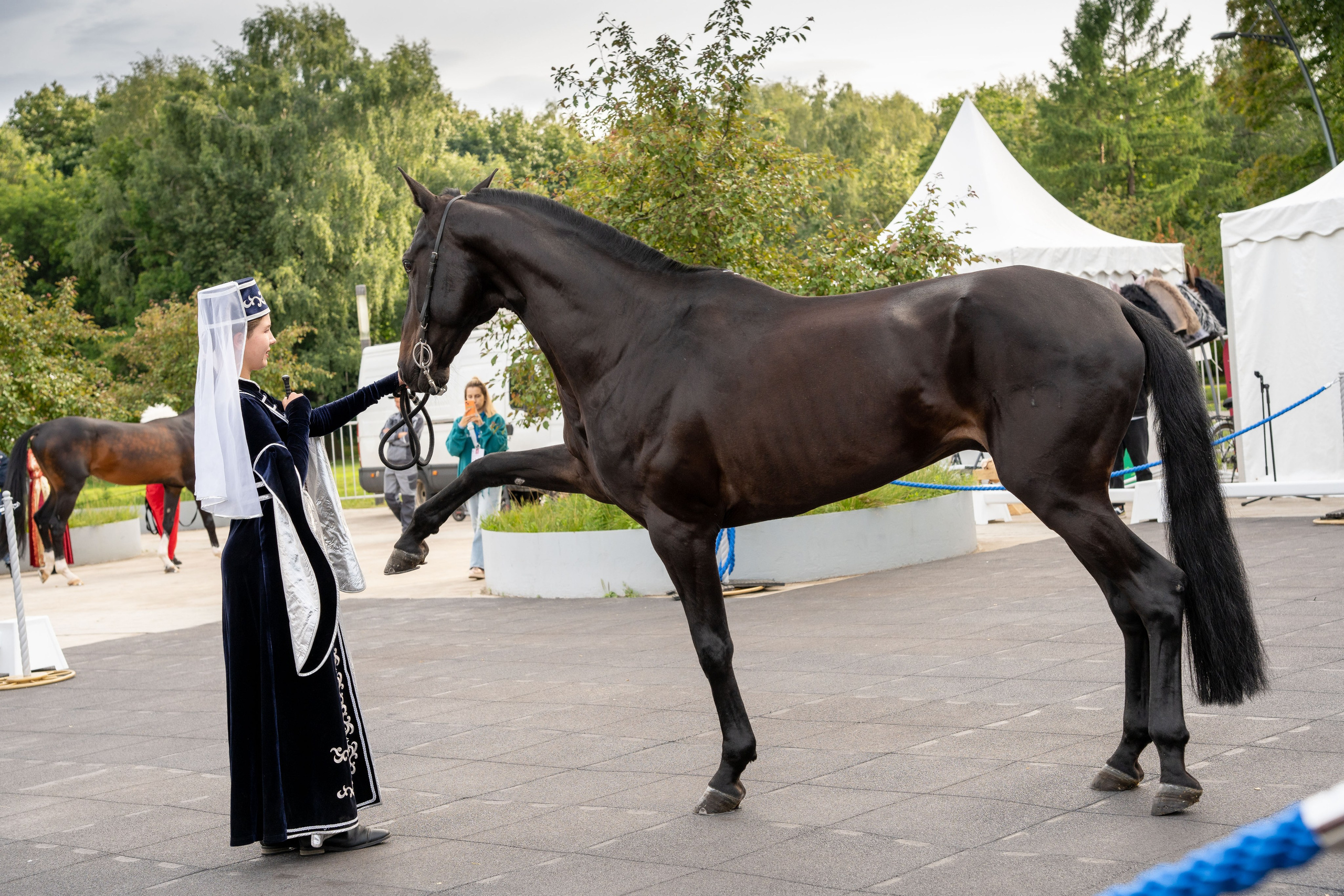 Животные. Фото, видео, монтаж