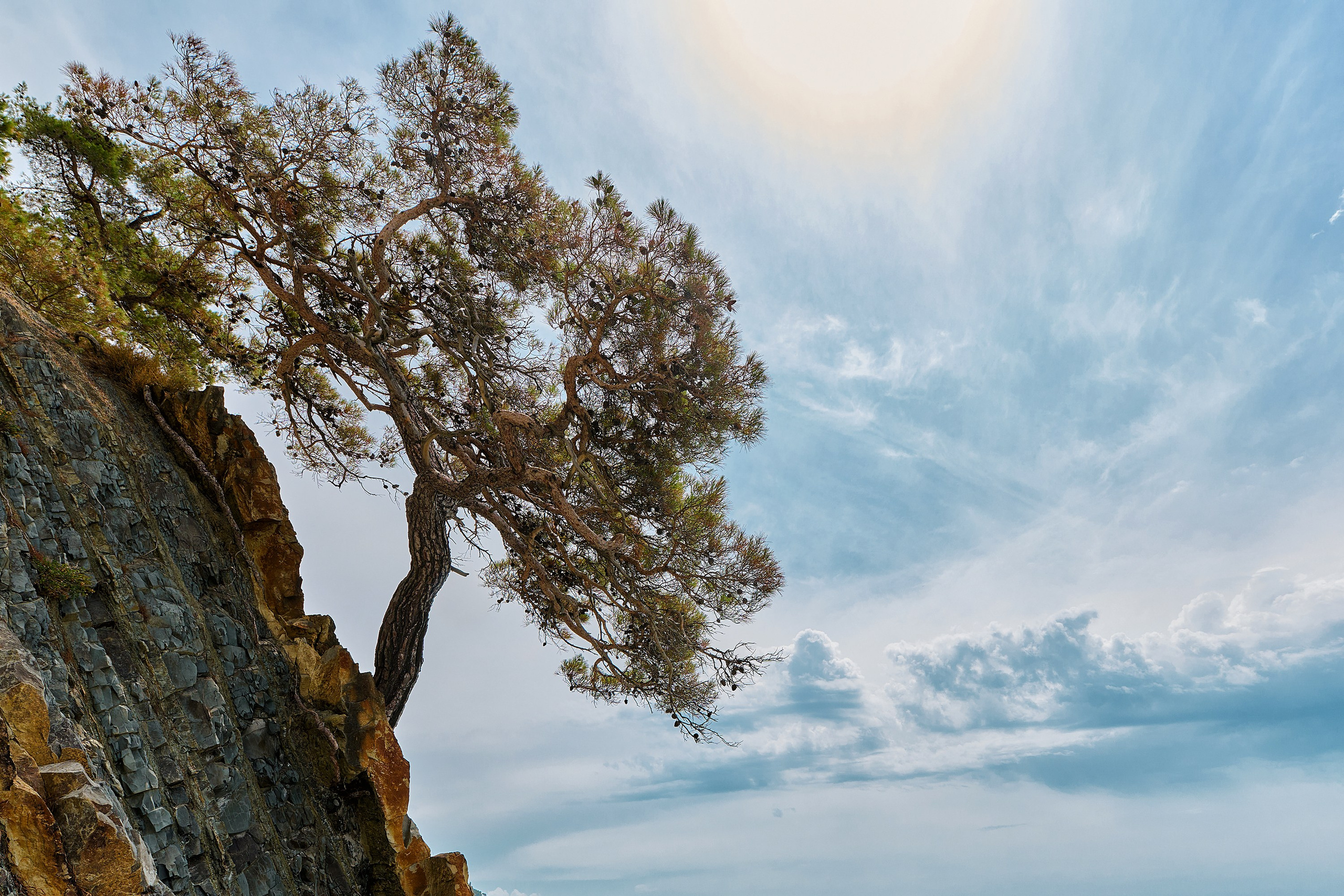 Геленджикский район, Краснодарский край, Кавказ, Черное море, скалы, горы, сосна, пляж, Джанхот, скала Черепаха