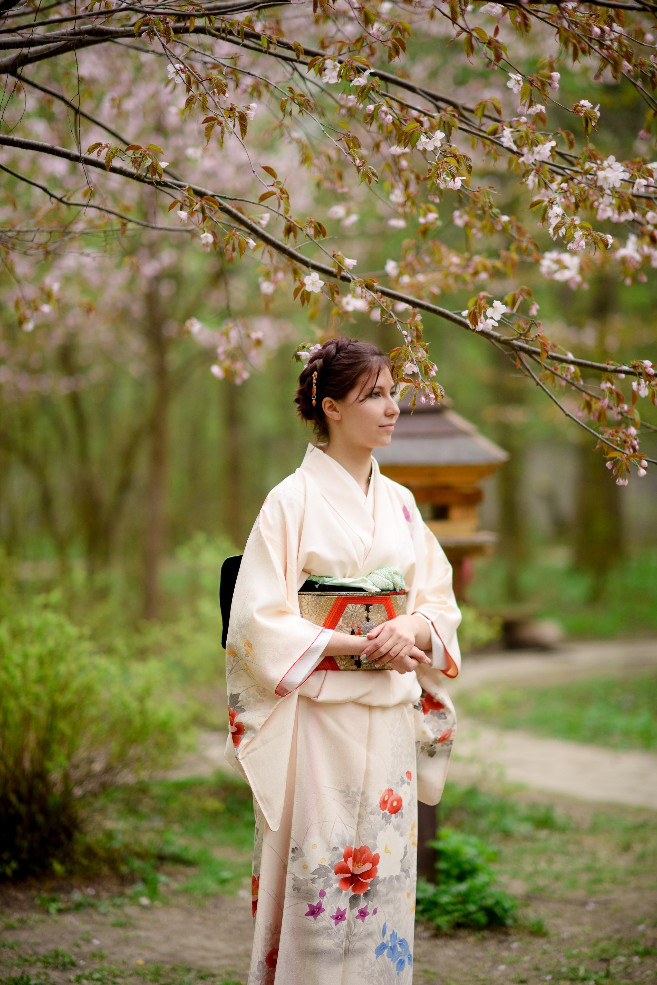 Любование сакурой в Бирюлевском дендропарке. Главная