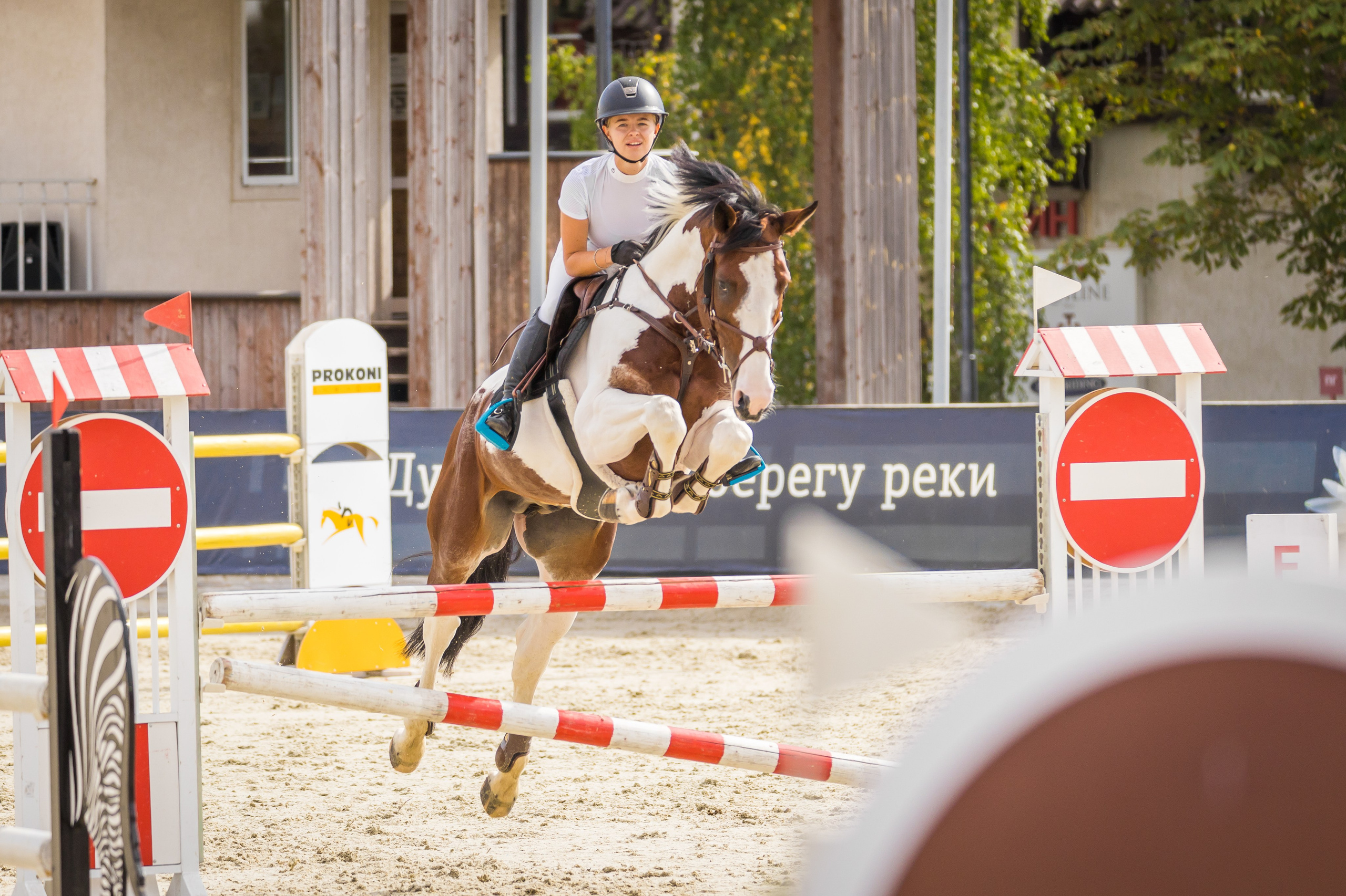 Конный спорт. Photomantis