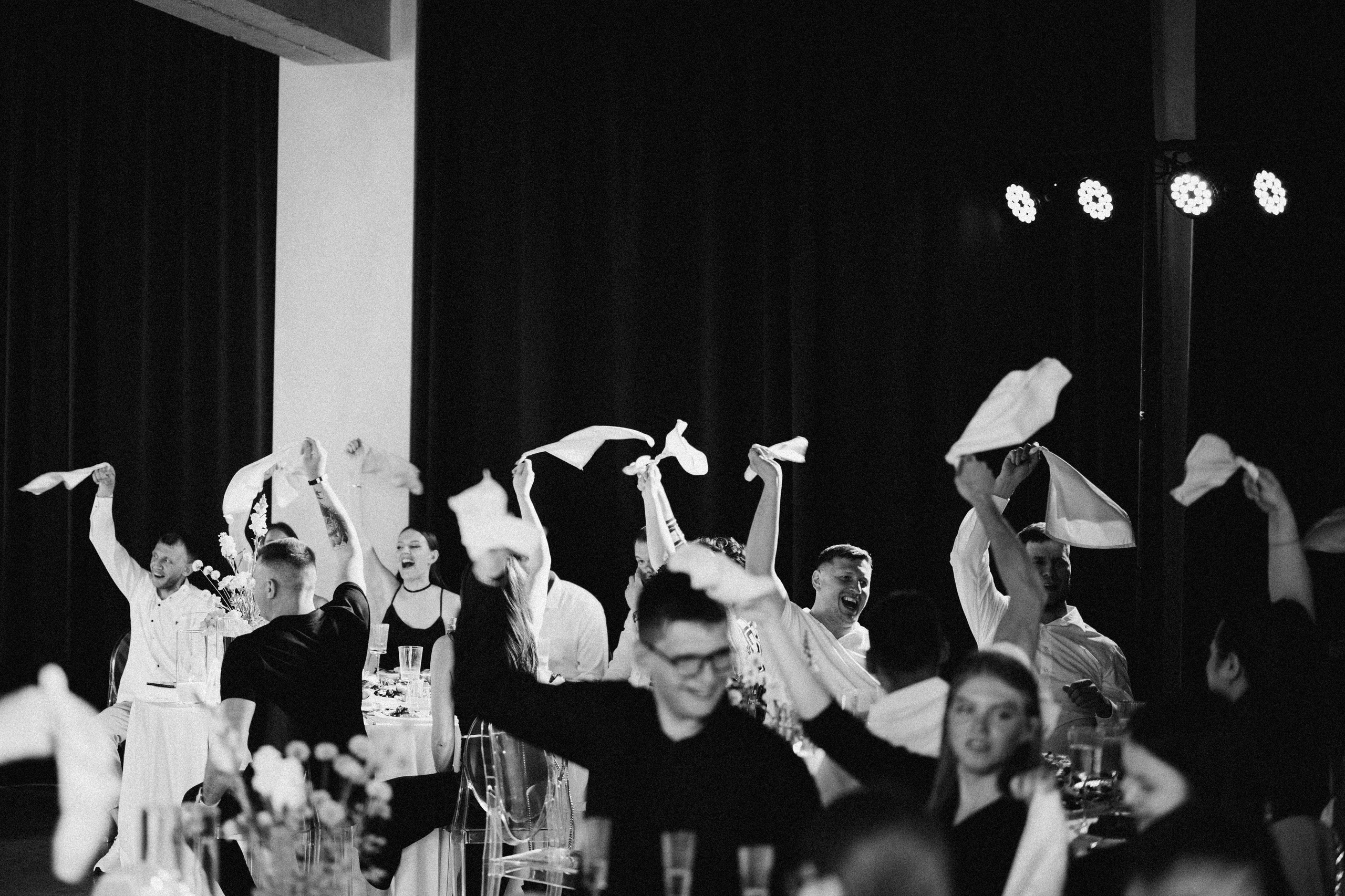 Dandelions. Daria Chigintseva Photographer