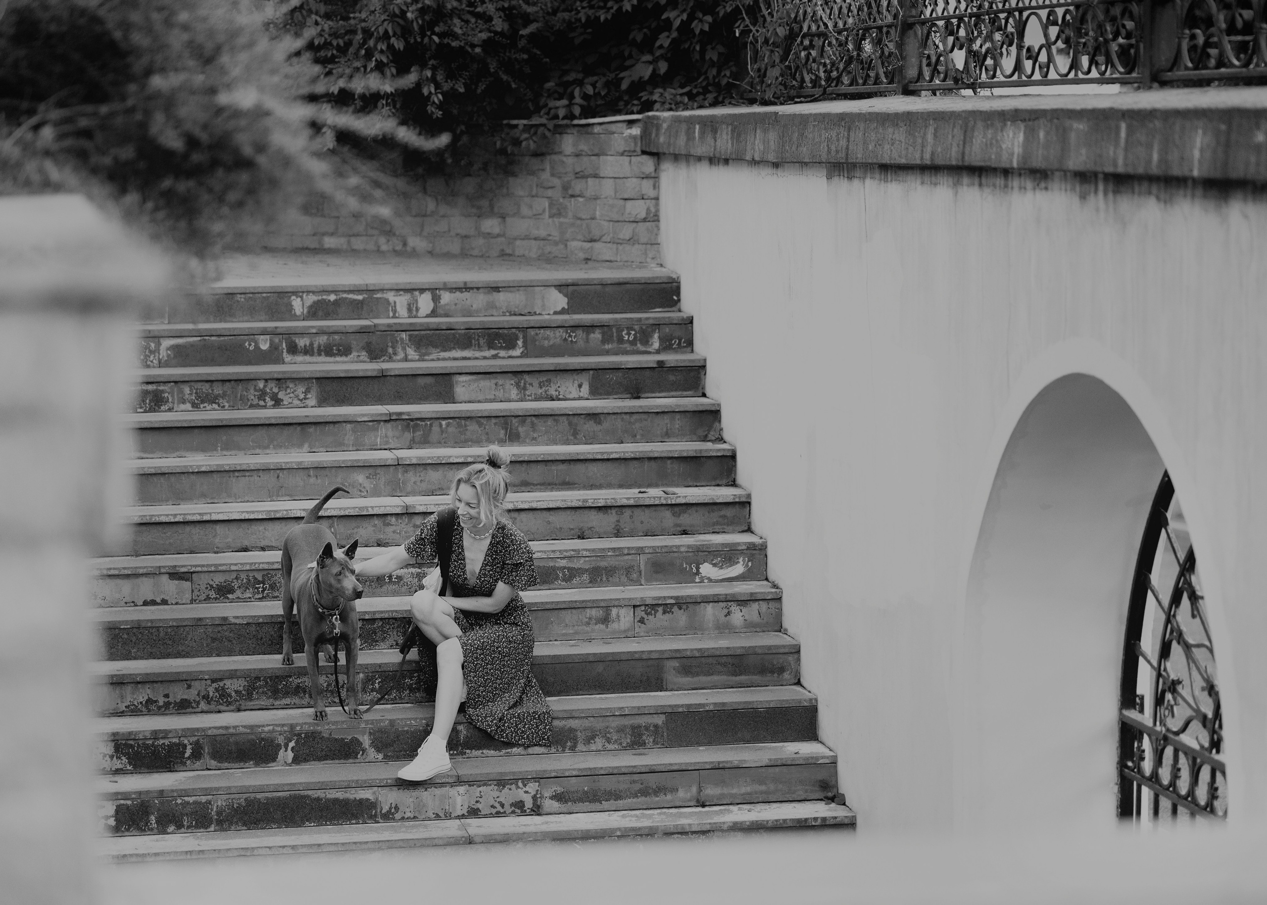 Шарма. Фотограф- анималист Александра Матвеева