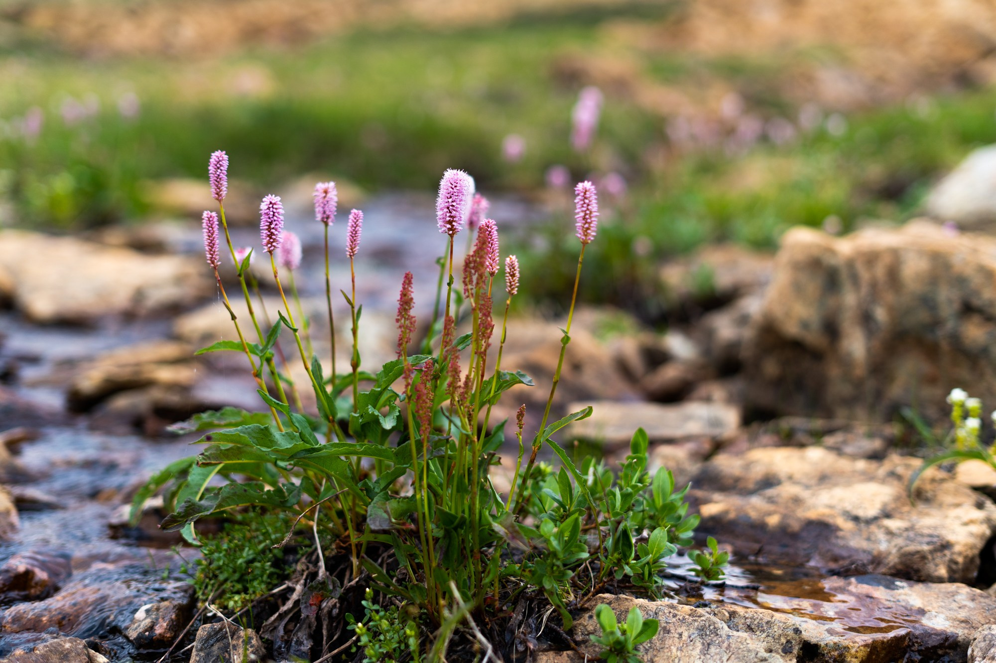 Ледник Романтиков. Фотограф Екатерина Зорина