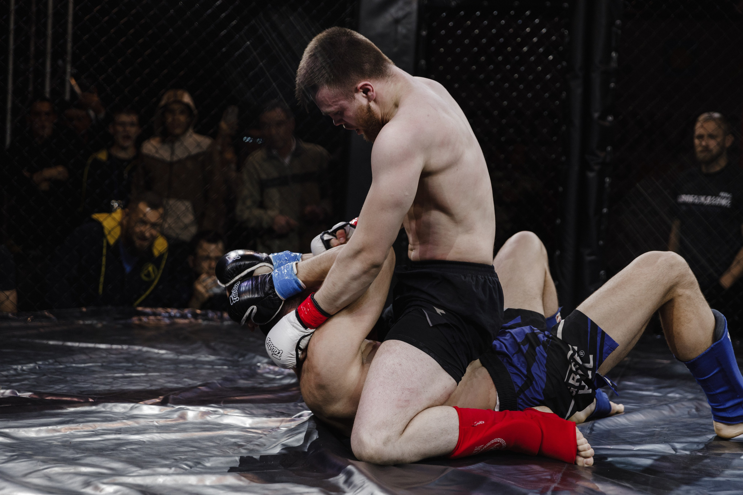 Турнир по ММА «Освобождение» 2023 г. Истра. Свадебный фотограф Фадеева Алёна