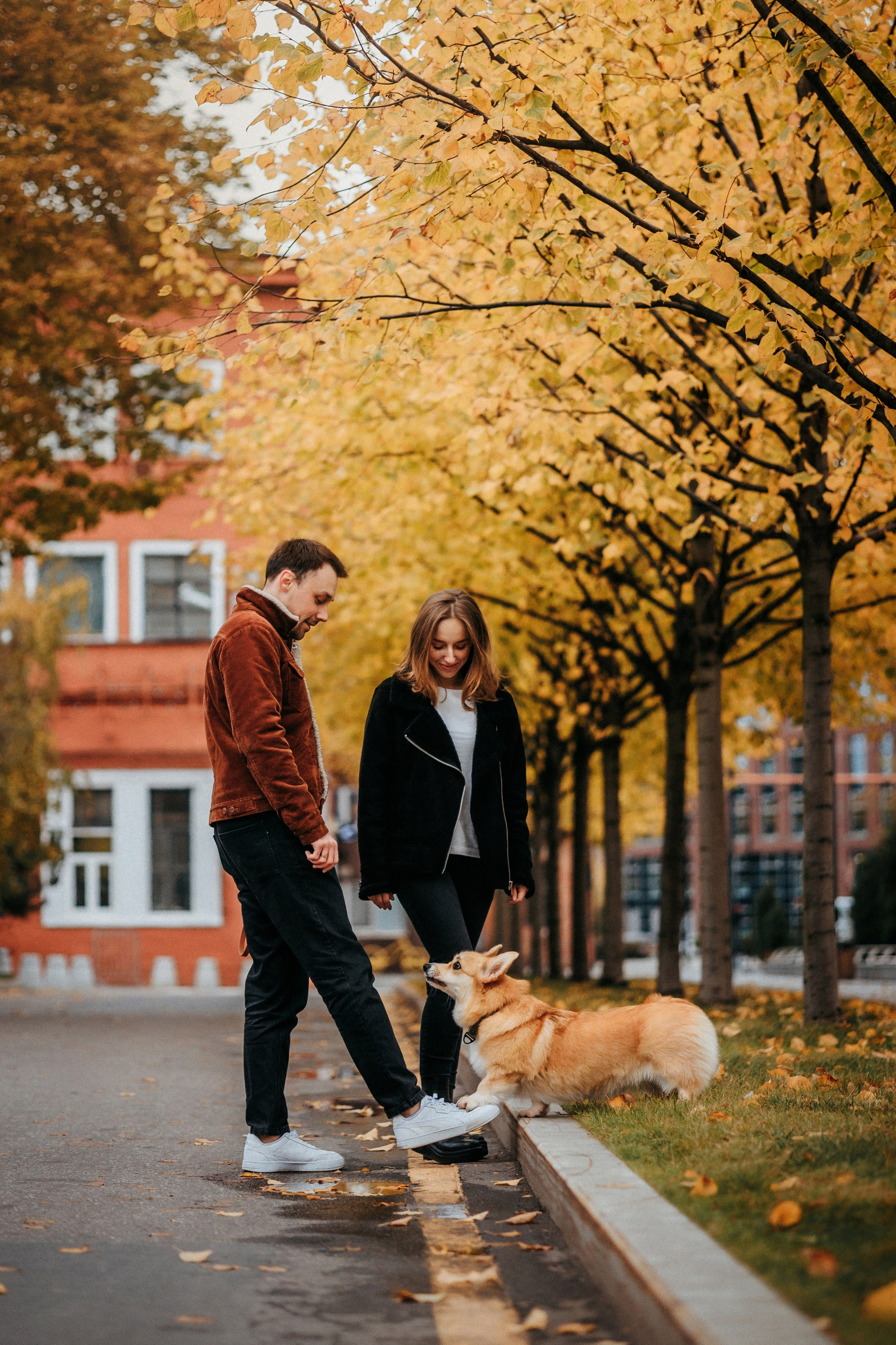Вера, Саша и Муна. Фотограф-анималист Елена Радченко, Москва