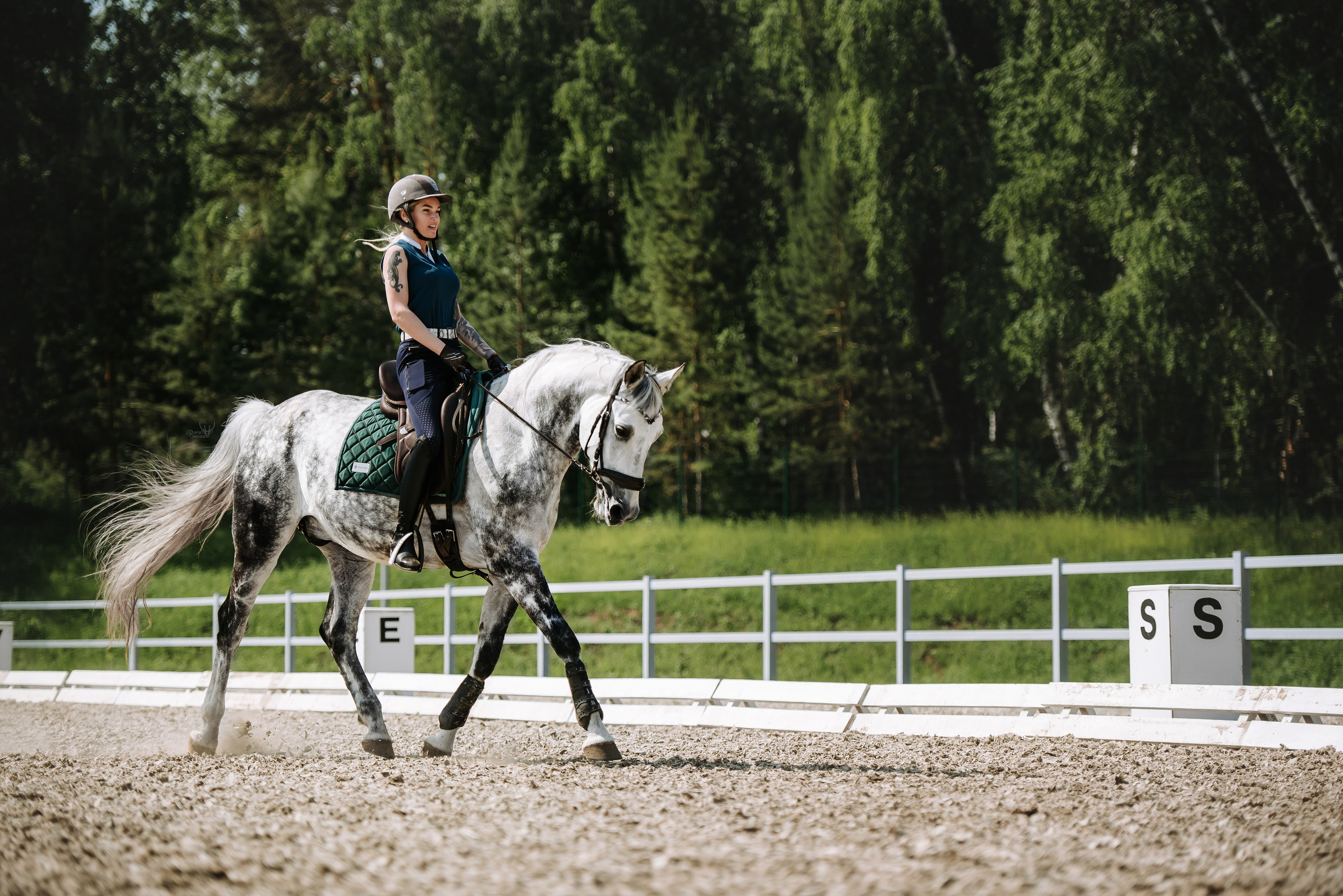 Фотосессия с лошадью Красноярск. Фотограф Диана Оленина Красноярск / Братск