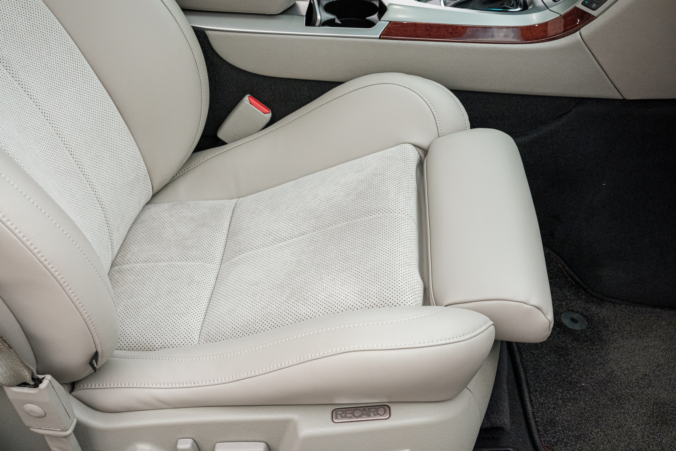 Кэдди. Алексей Никифоров фотограф Москва, Химки