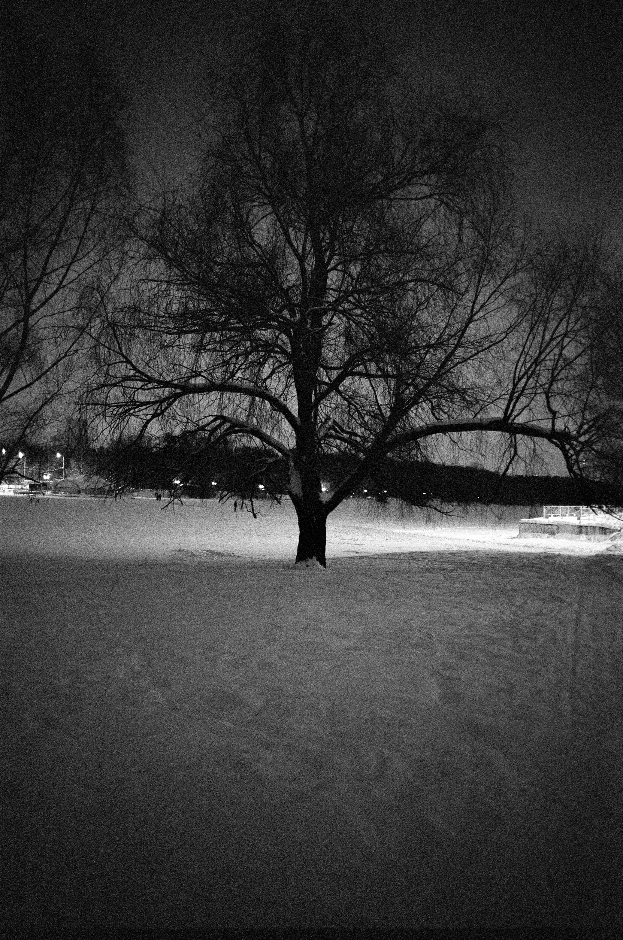 Voigtlander BESSA-T / Ultron 28 mm f/2 / Ilford PAN 400