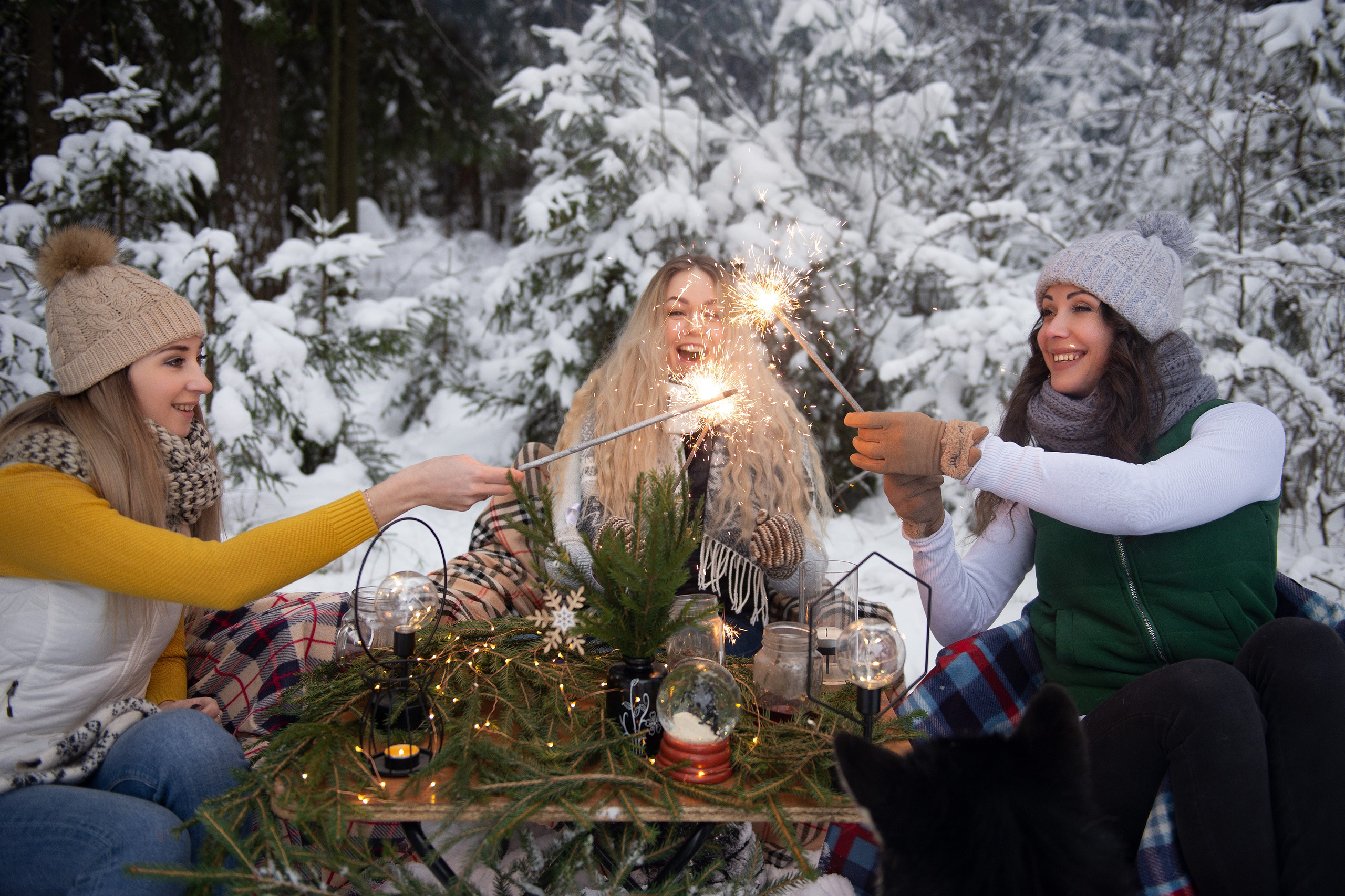 Зимний лес прекрасен. Творческий фотограф Вологда
