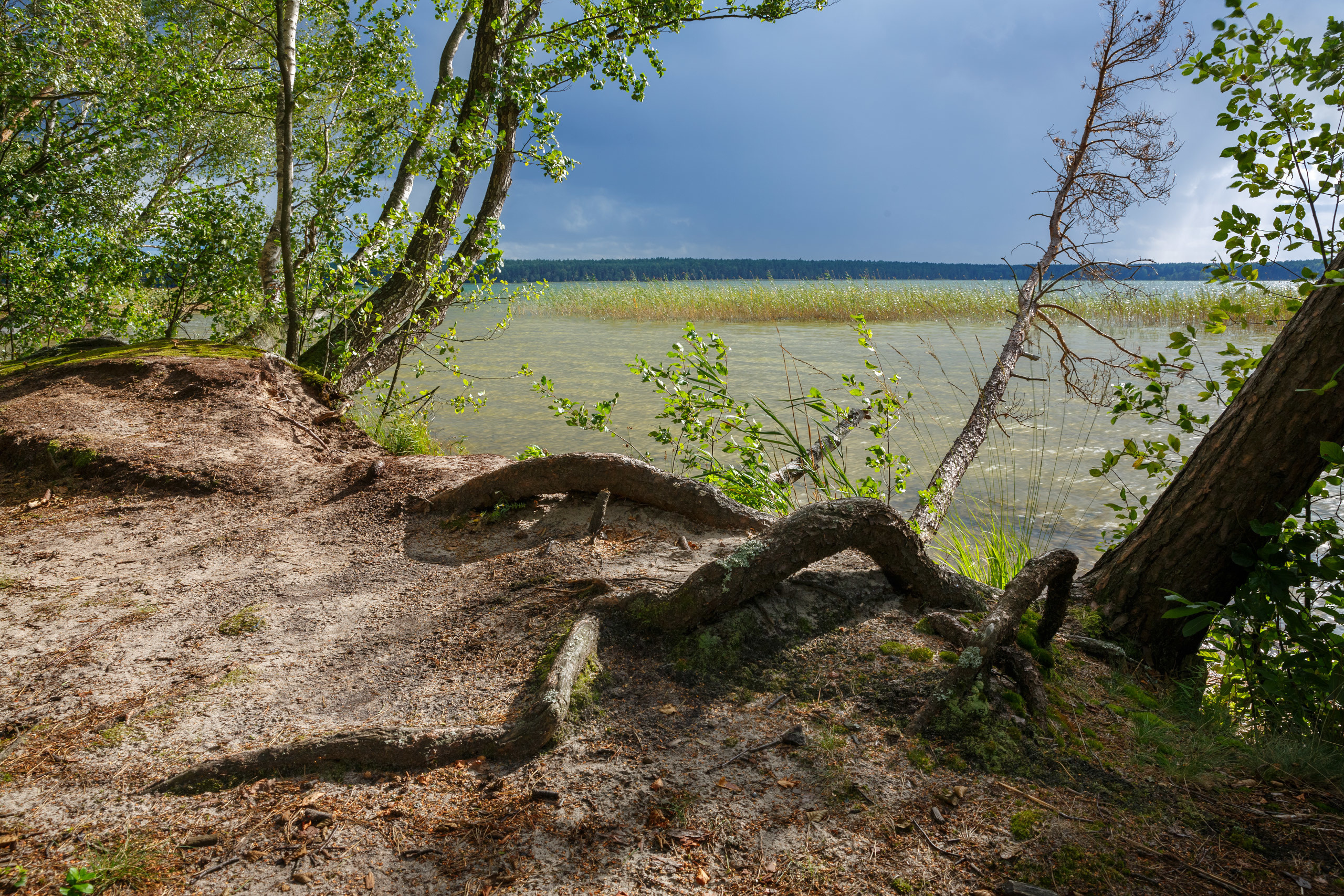 Озеро Белое