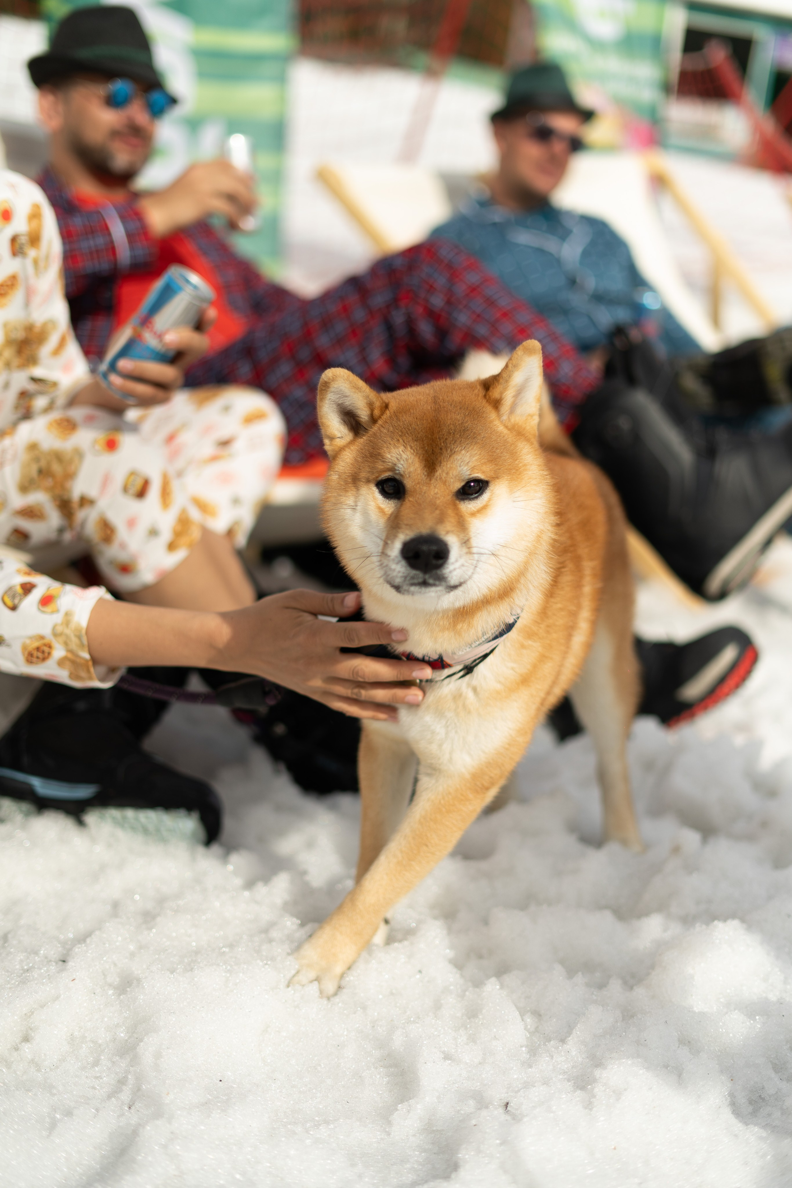 Грелка 18.04.24. Анастасия Паршукова — фотограф Шерегеш Новосибирск