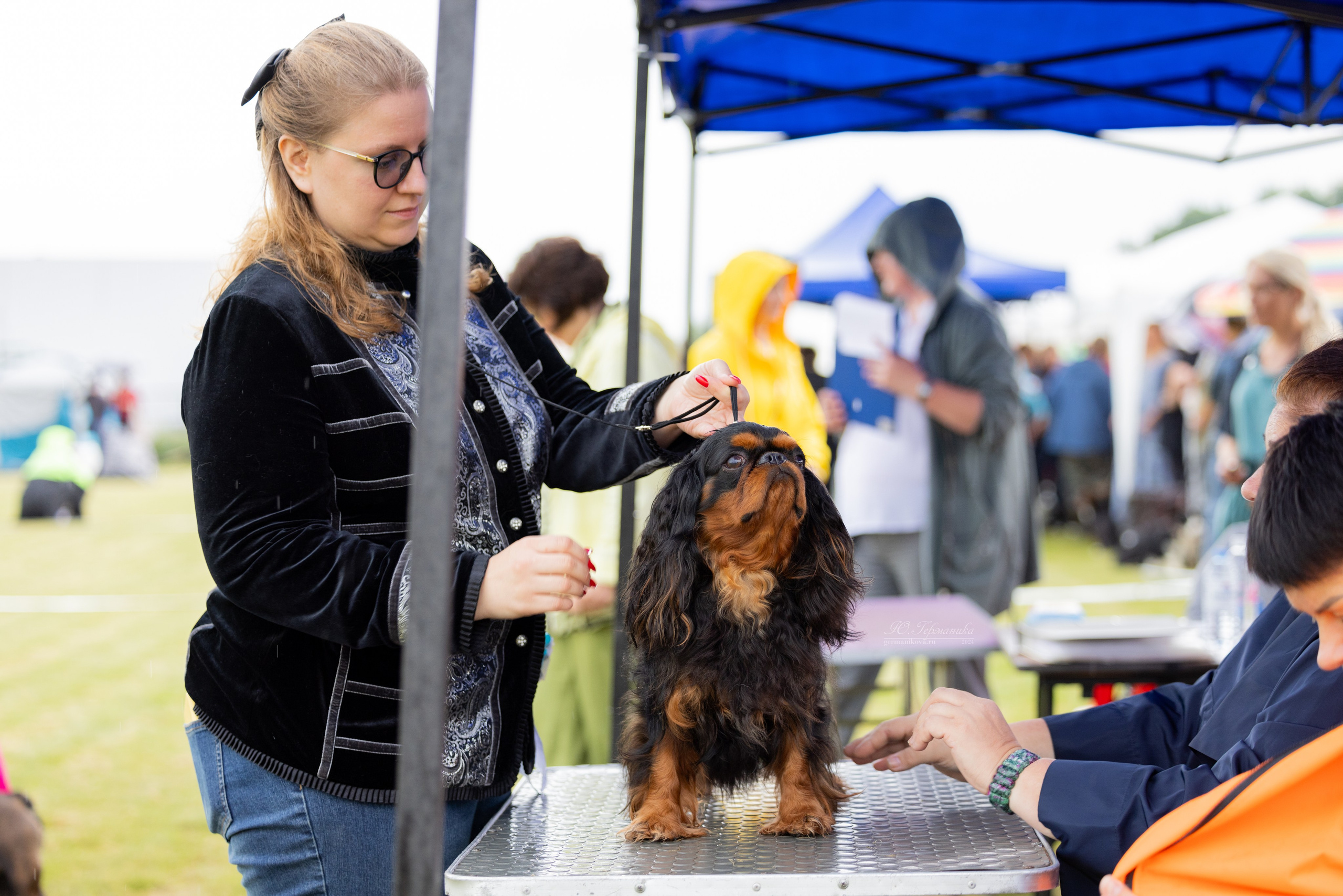 Ярославль 21.07.24 и Балашиха 13.07.24. Фотограф-анималист Юлия Германика