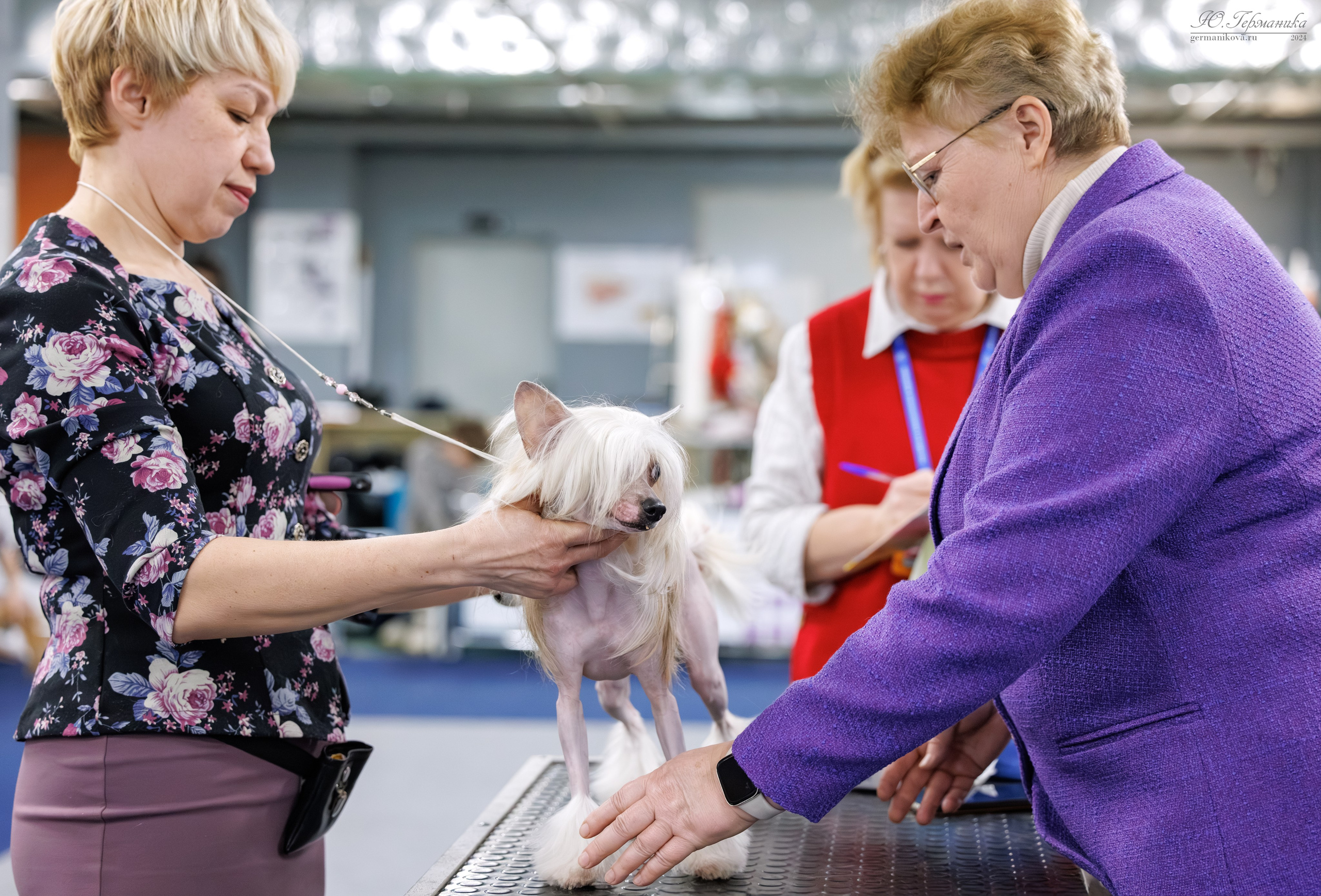 Сфера и Крокус 8,9,16 и 30.03.2025. Фотограф-анималист Юлия Германика