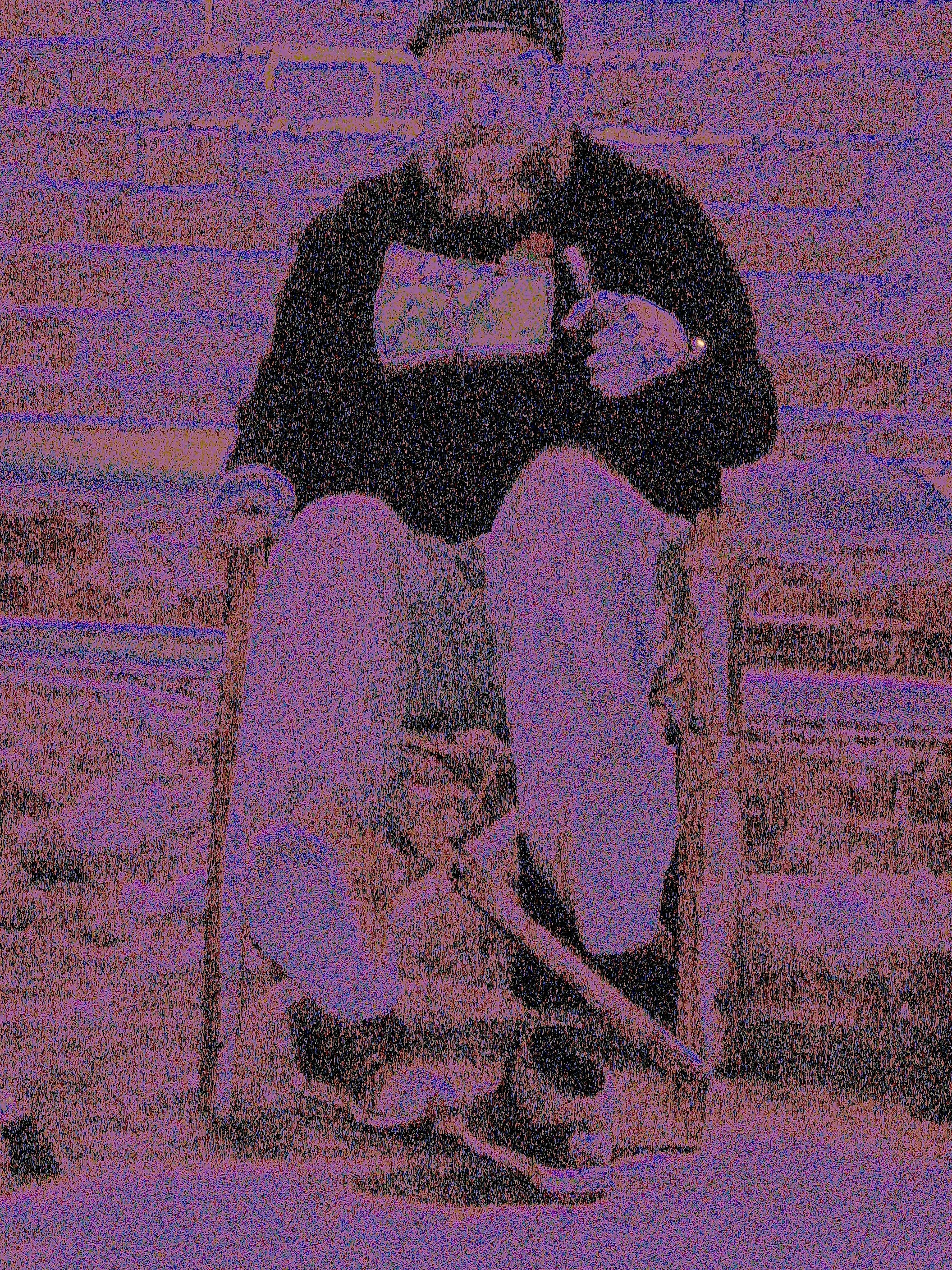 Fragmented Self. Glitch Artist Dmitriy Fayvilovich