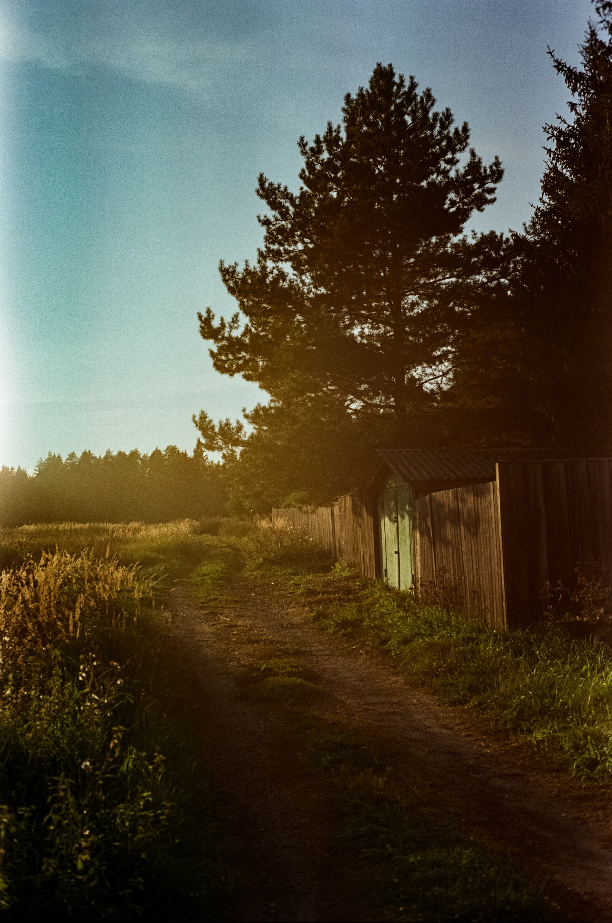 Minolta Hi-Matic 7SII примеры фотографий