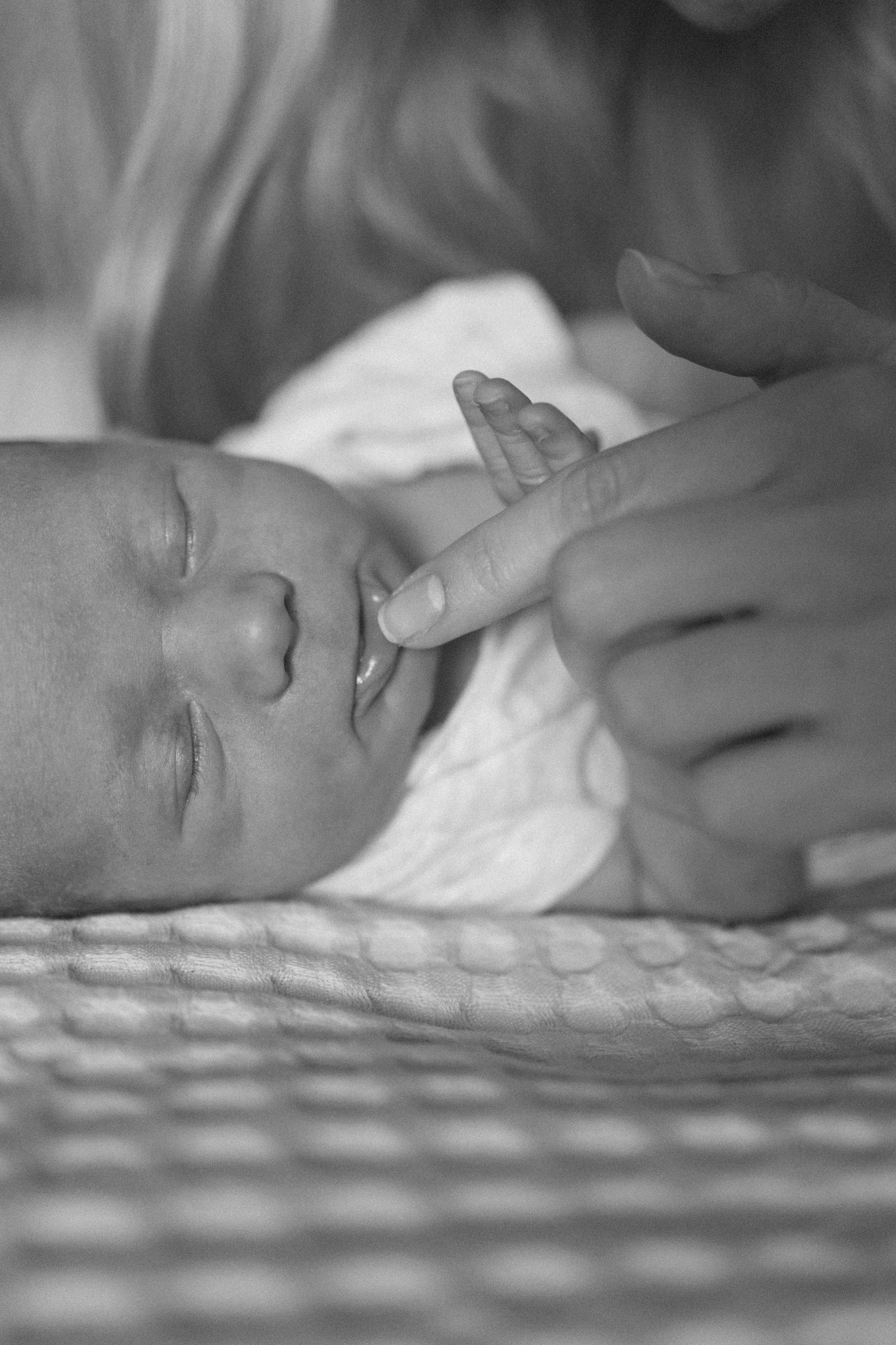 Лев родился. Семейный фотограф Елена Баган Волгоград