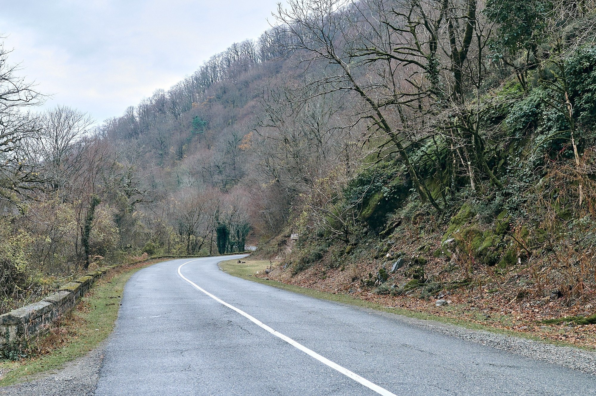 Озеро Рица, Абхазия. Декабрь 2024. Фотографии отовсюду и обо всем