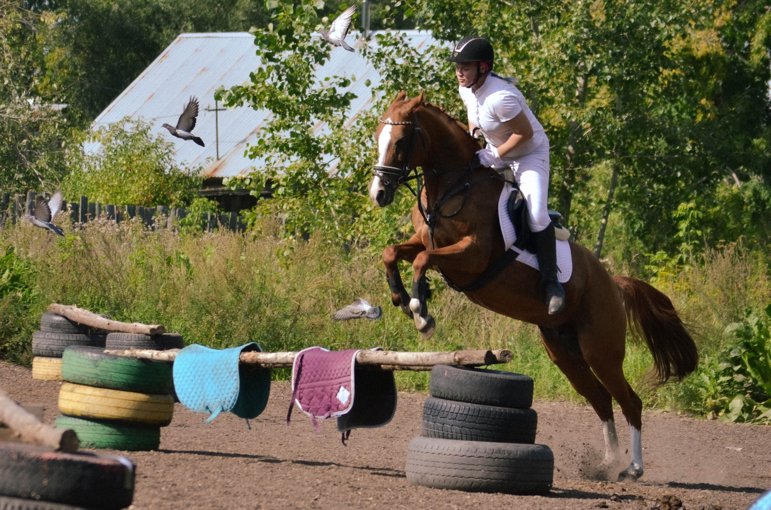 Репортаж вашего дня. Фотограф Новосибирск. Фотограф в городе Новосибирск Линг Даниил