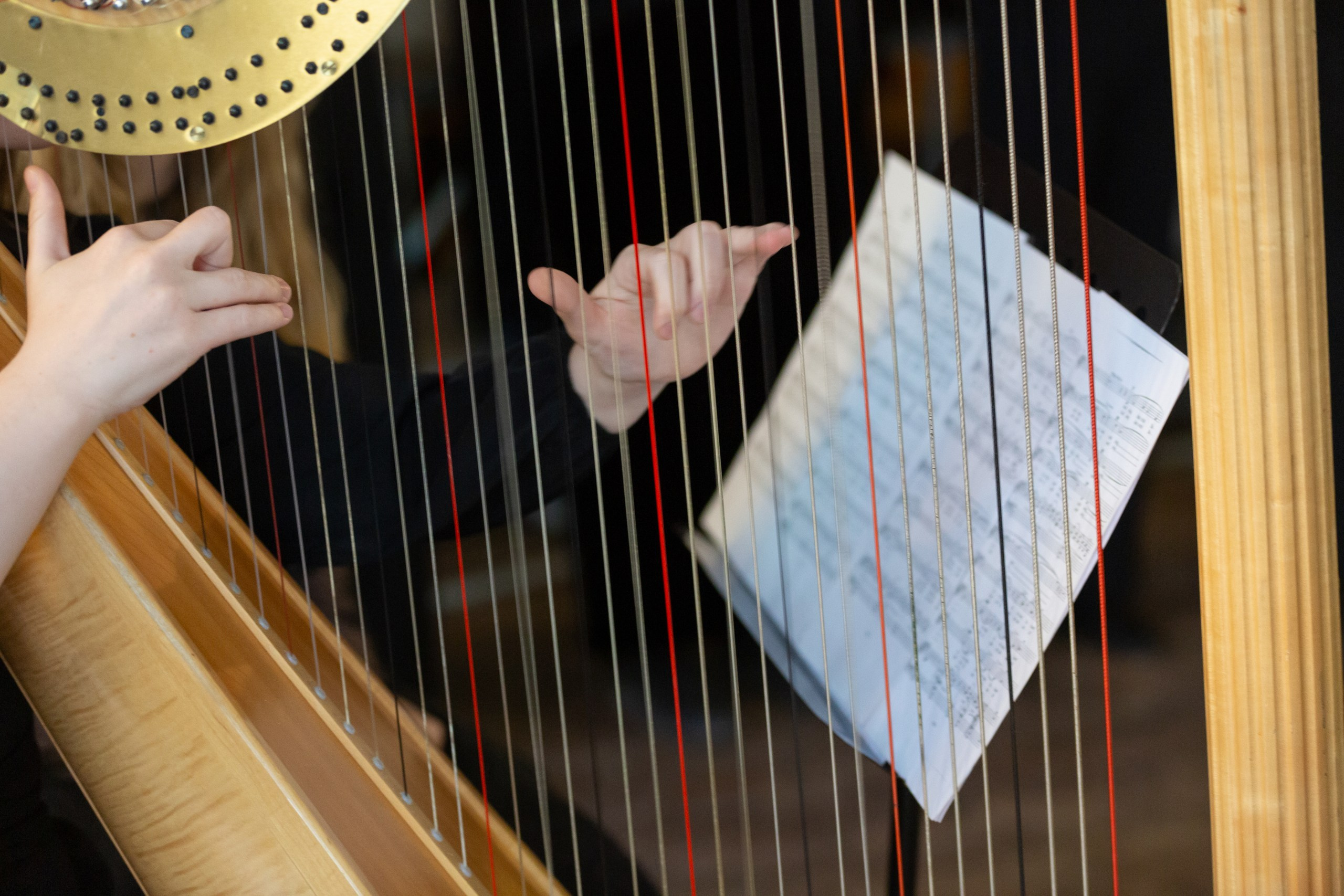 29.05.2024 Училище имени Н.А. Римского-Корсакова. Семейный и детский фотограф в Санкт-Петербурге Пуликов Дмитрий