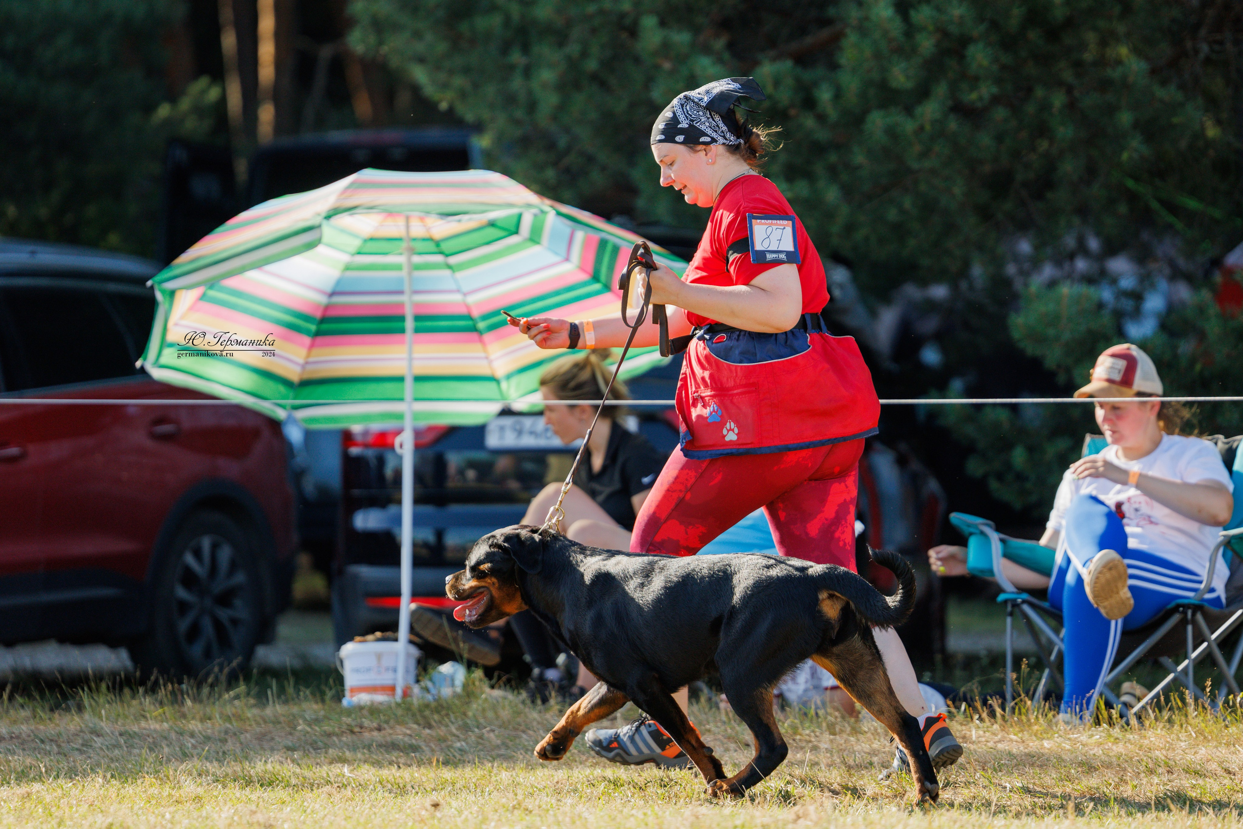 ПК и КЧК ротвейлеры Тверь 6-7.07.2024. Фотограф-анималист Юлия Германика