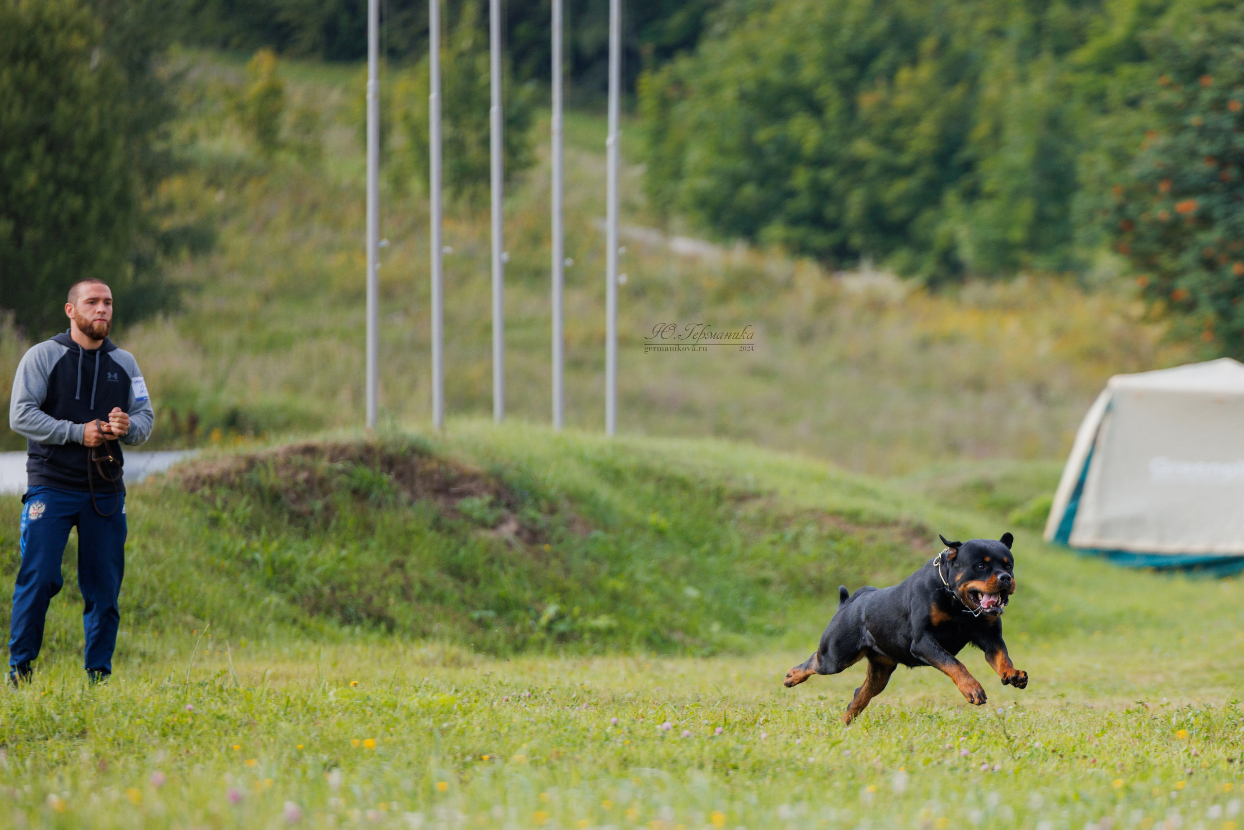 Рязань-Ховрино 10-11.08.2024 3хмоно ротвейлеров. Фотограф-анималист Юлия Германика