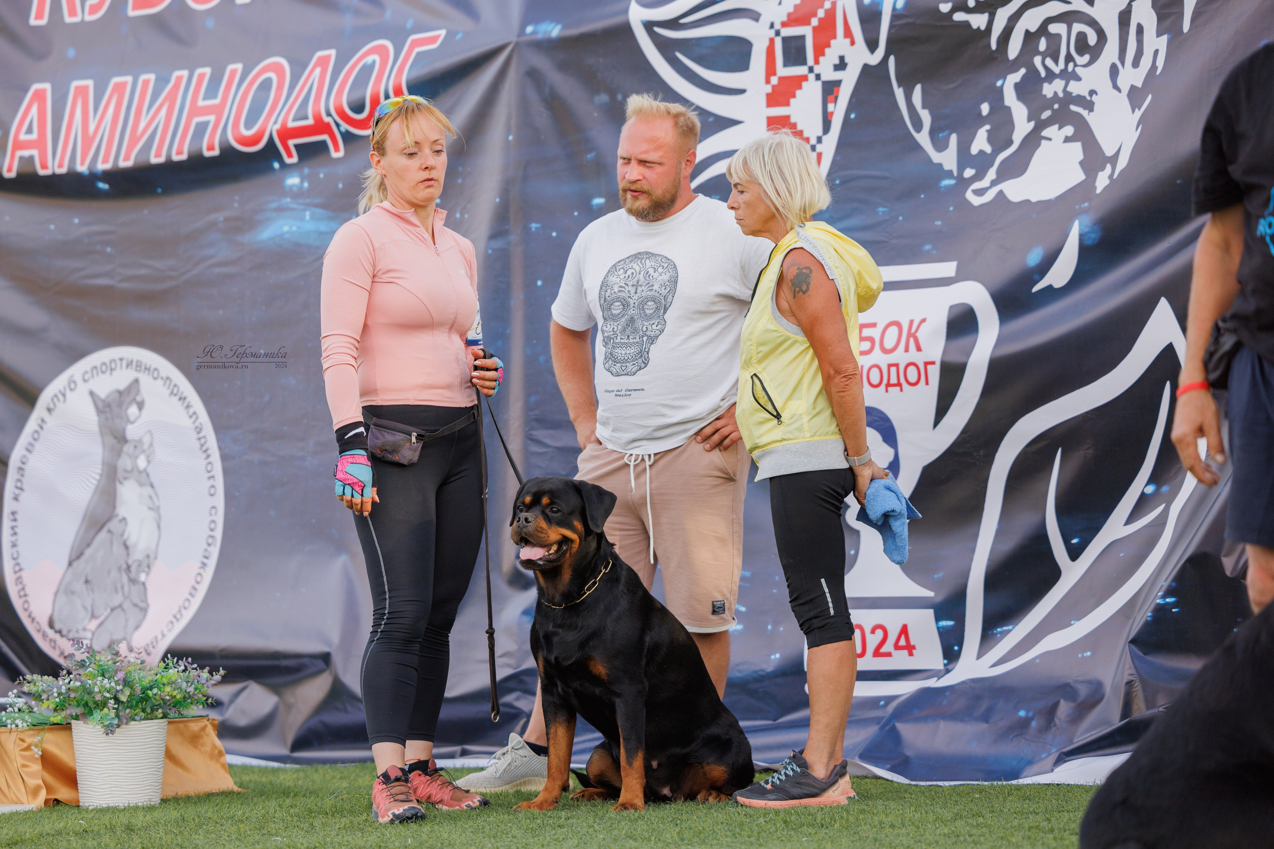 Анапа ротвейлеры 14-15.09.2024. Фотограф-анималист Юлия Германика