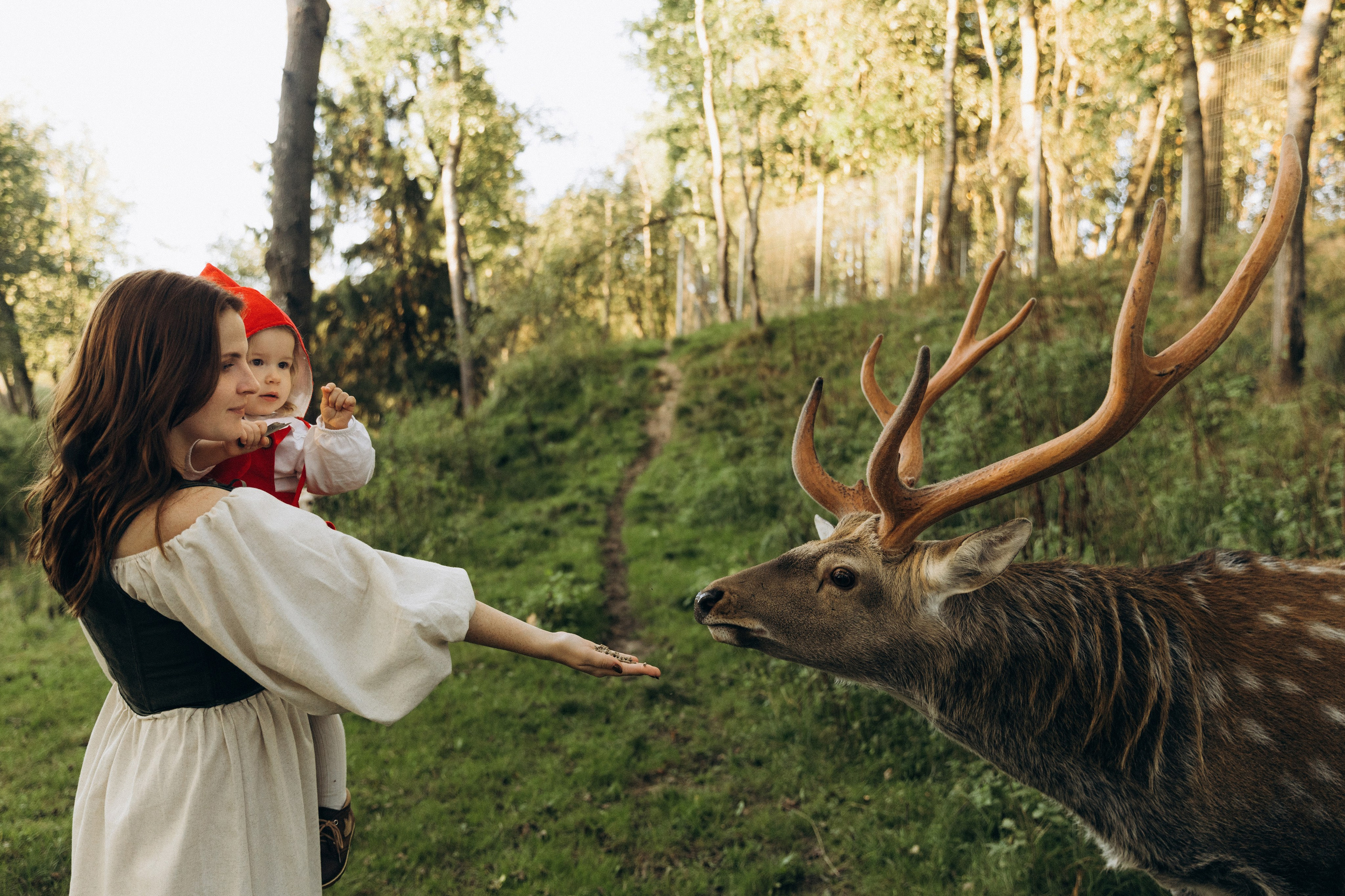 Семейная Фотосессия с оленями Бемби