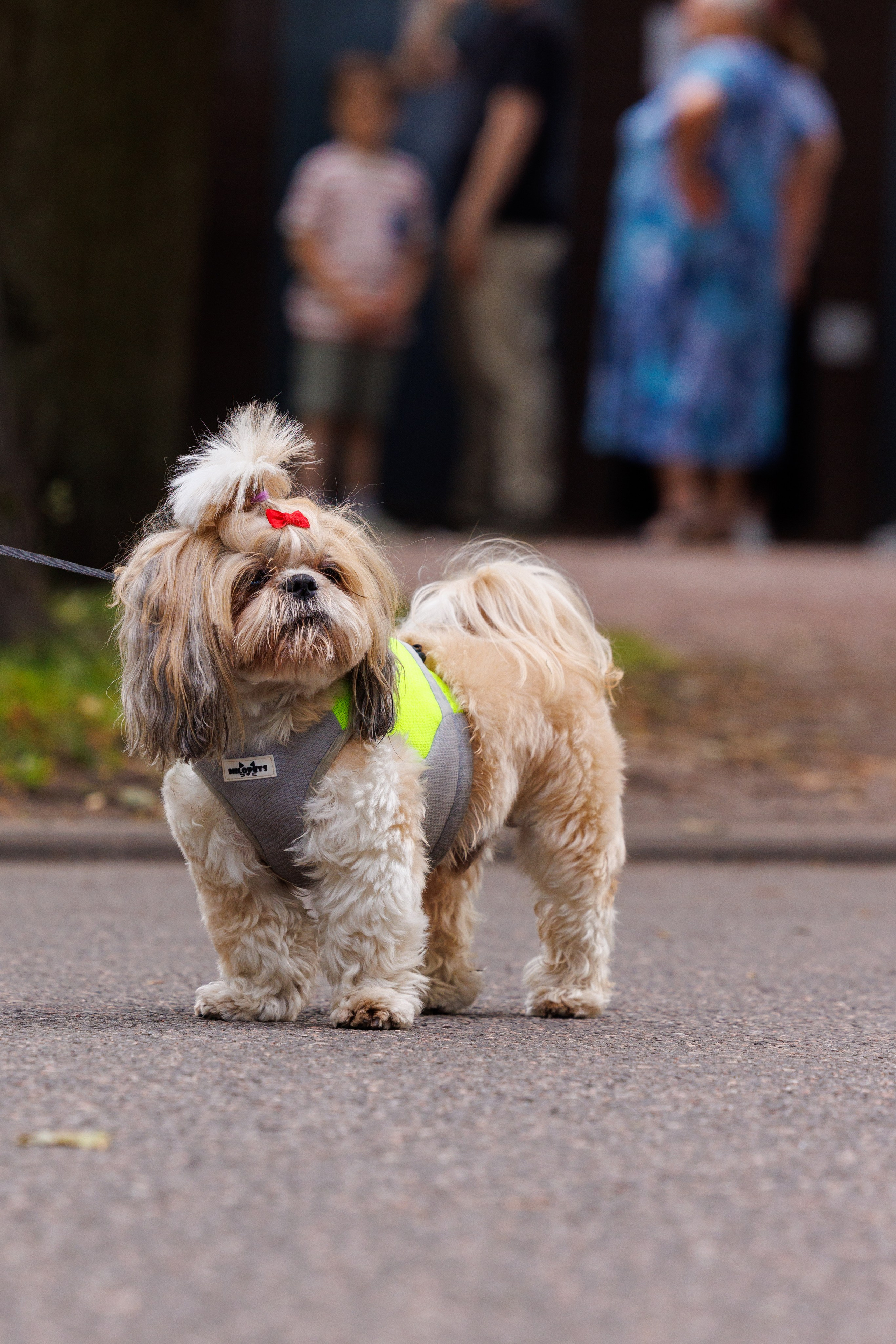 PetShopDays2026. Фотограф Александр Заломаев