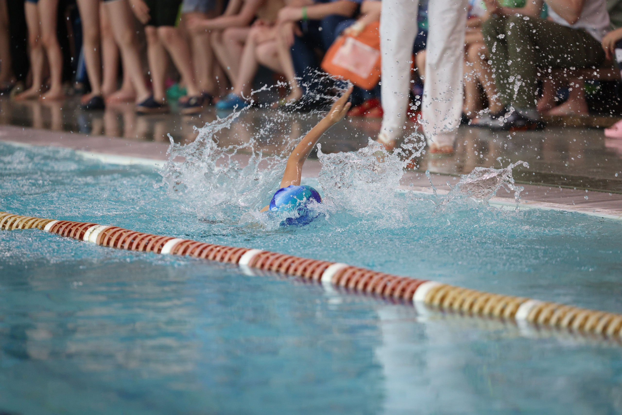 Веселый дельфин. Плавание. Дети 8-9 лет. Фотограф Александр Заломаев