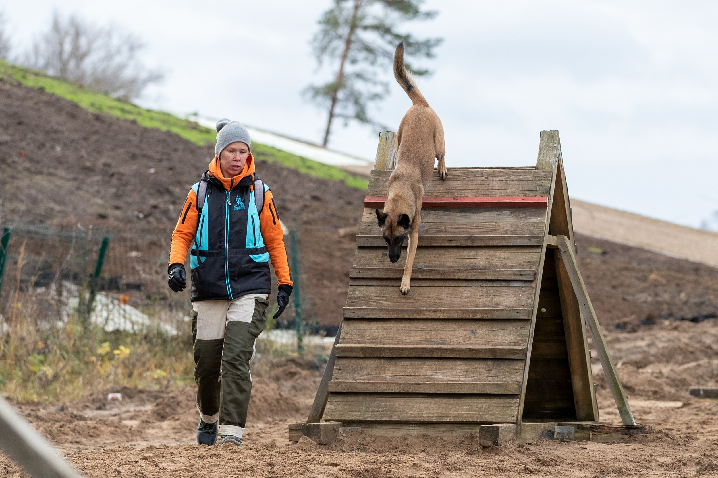 Вера и Чейз на экзамене ОКД. Фотограф-анималист в Калуге Мария Шерскова
