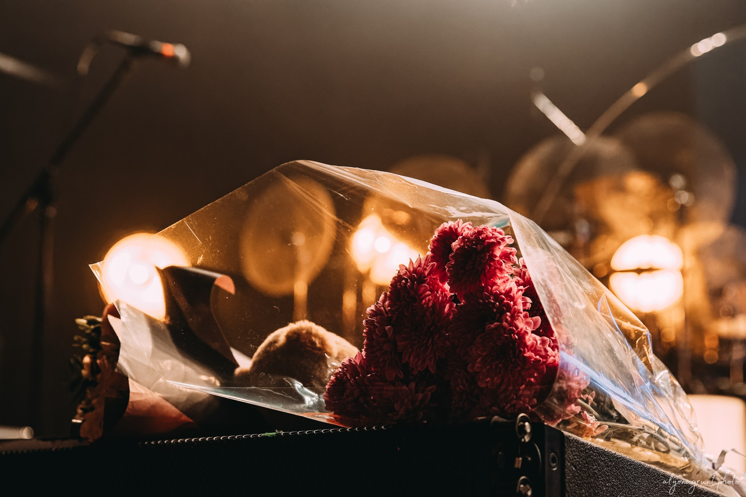 Ваня Дмитриенко, фоторепортаж СПб, A2, 23.10.2025. Алена Адрианова: фотограф в Санкт-Петербурге