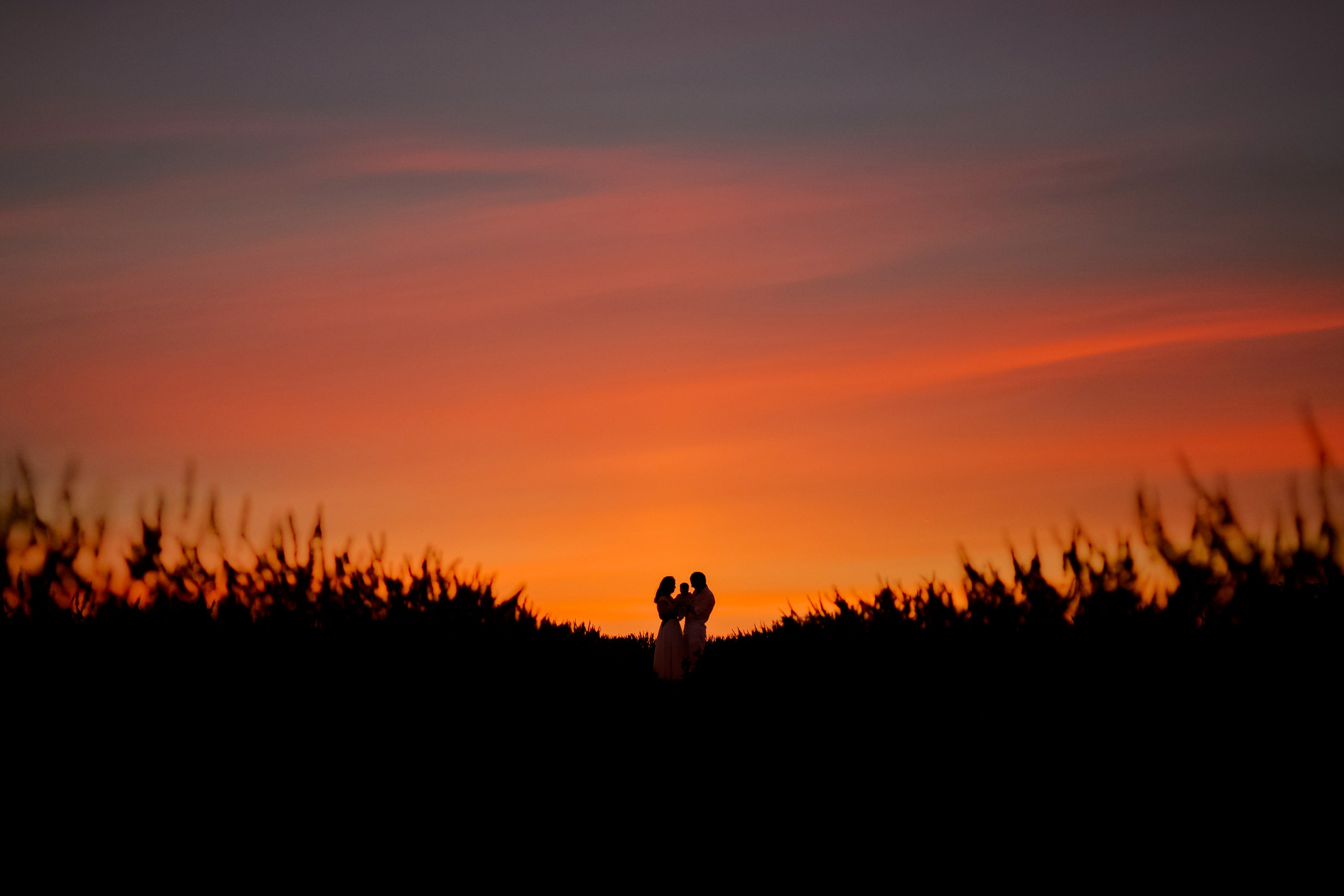 Lavender. Photographer in Provence Julia Lipiainen