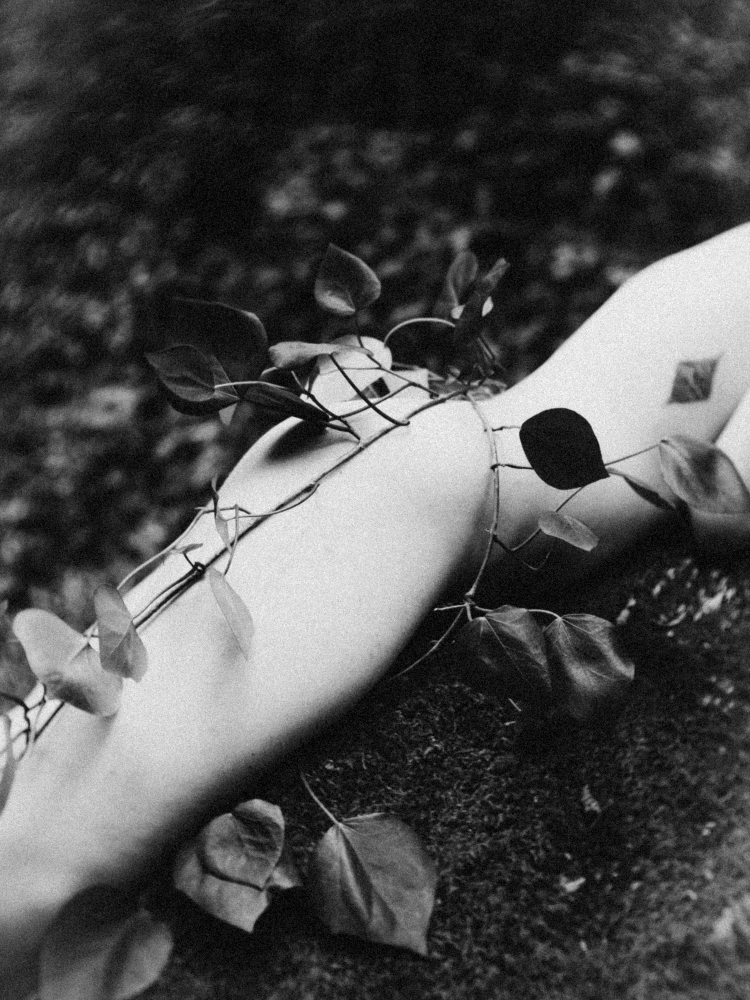 Обнаженная фотосъёмка в лесу