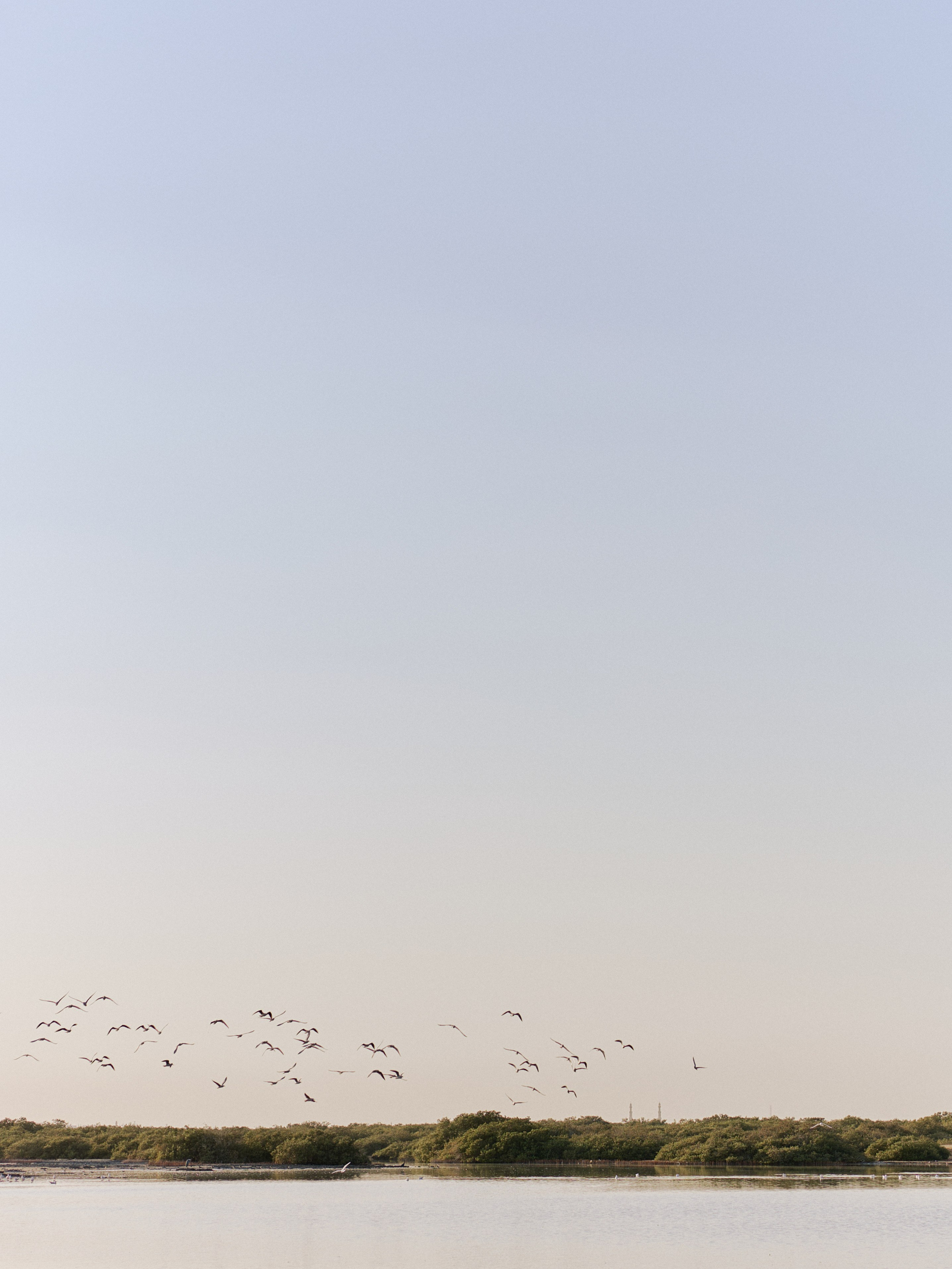 Другое 3. Jorgis Talè — photographer, kind person, teacher of arts and other mag