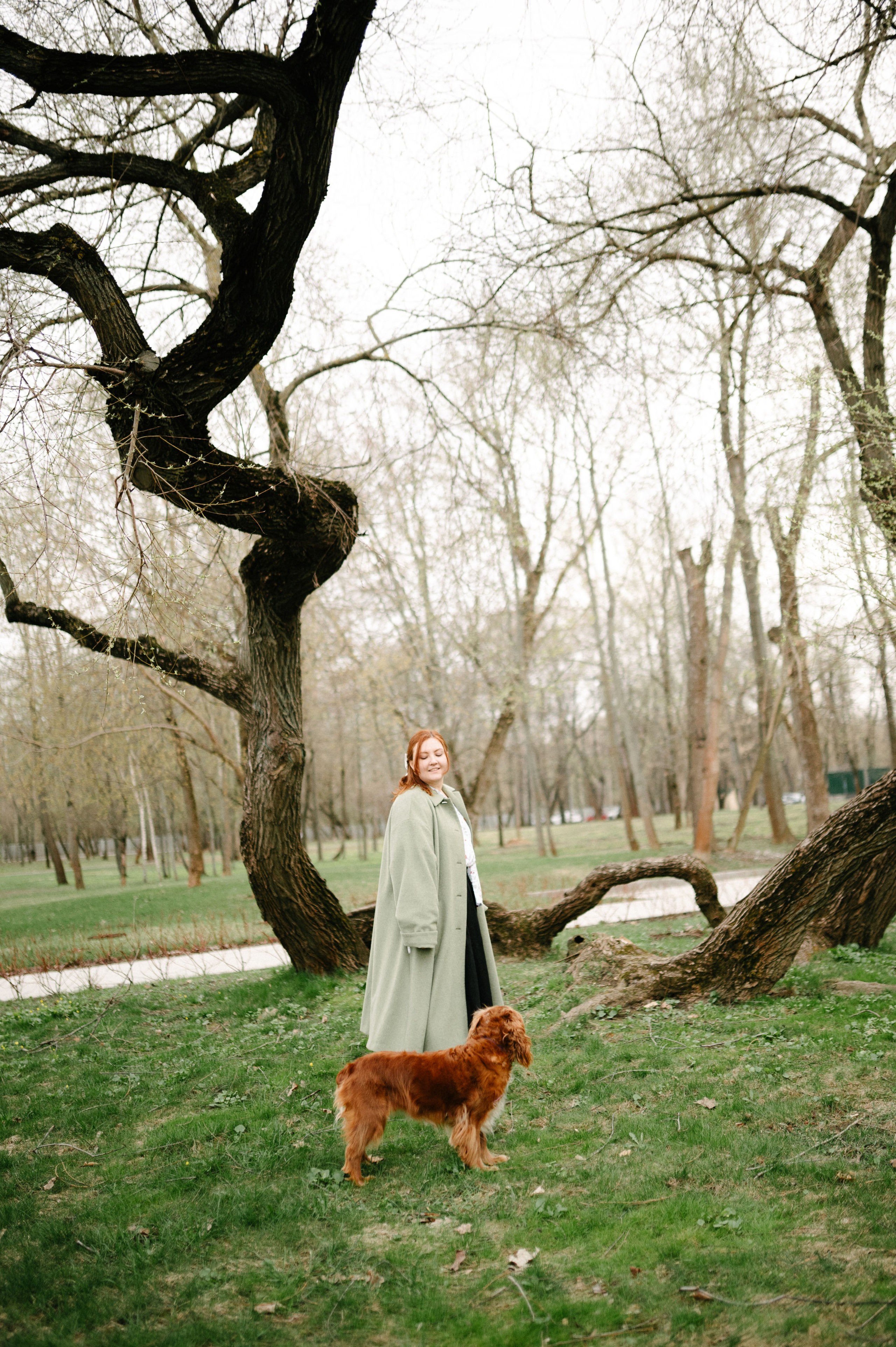 Рыжая команда. Фотограф анималист в Москве Ольга Агушева