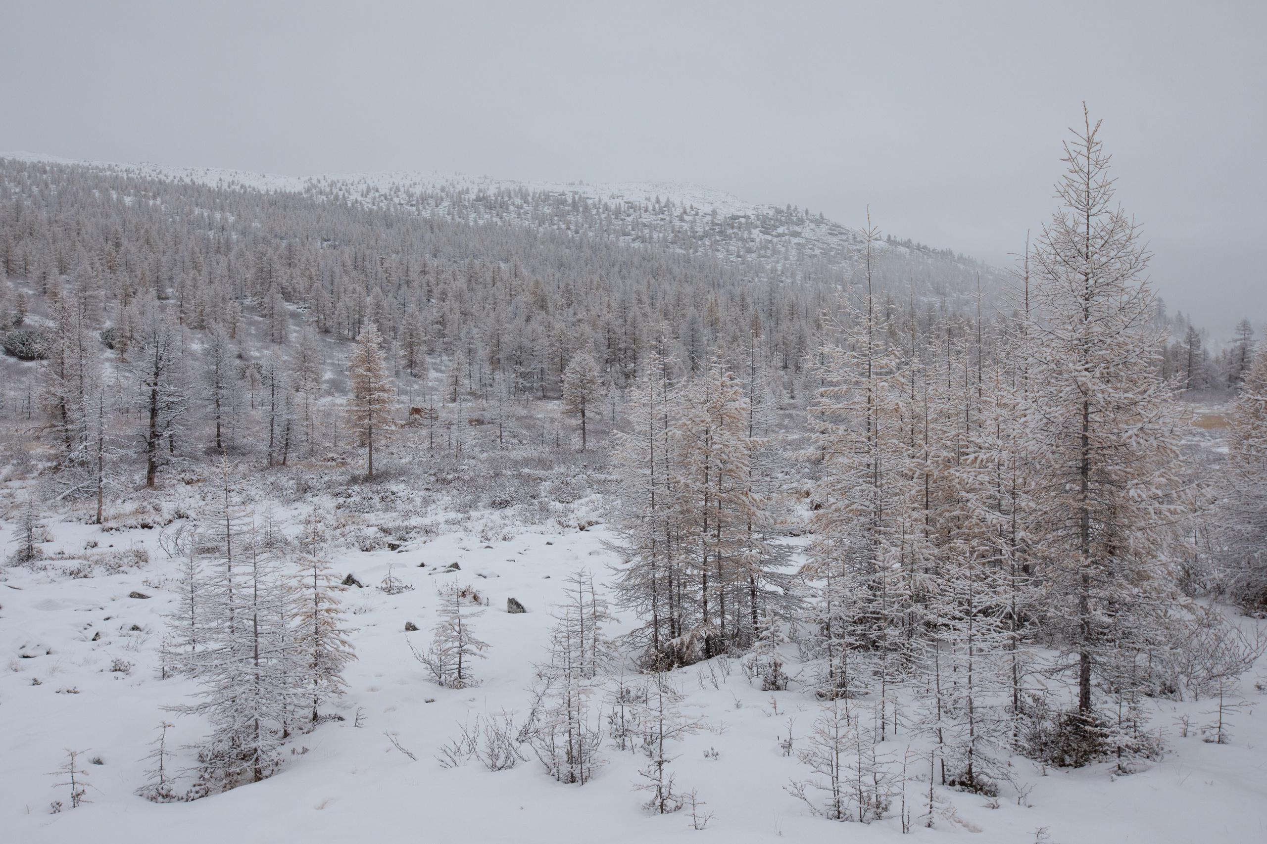 Не забудь накормить озеро. Natalya Madilyan
