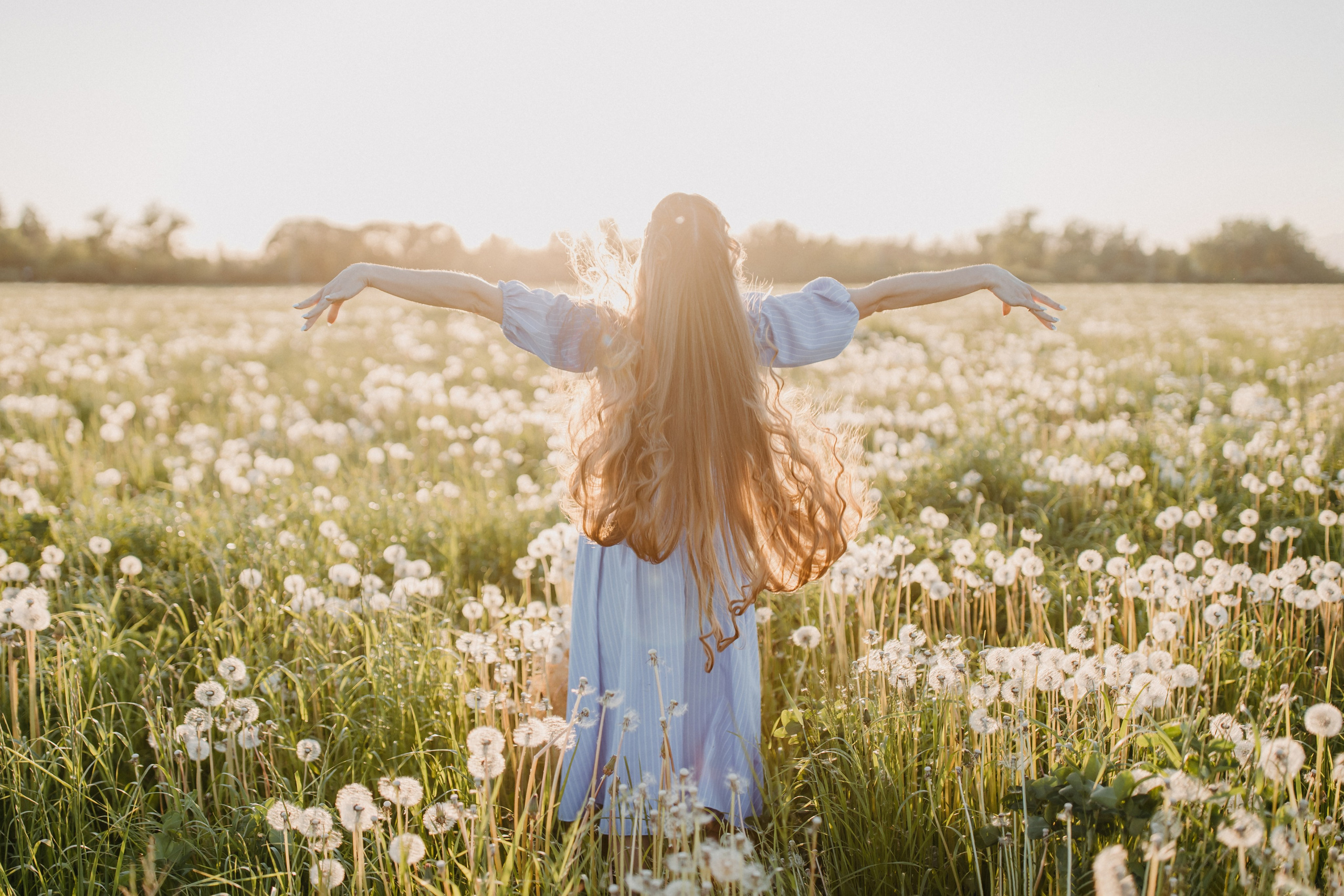 Одуванчиковое. Фотограф в Санкт-Петербурге Знаменская Ирина