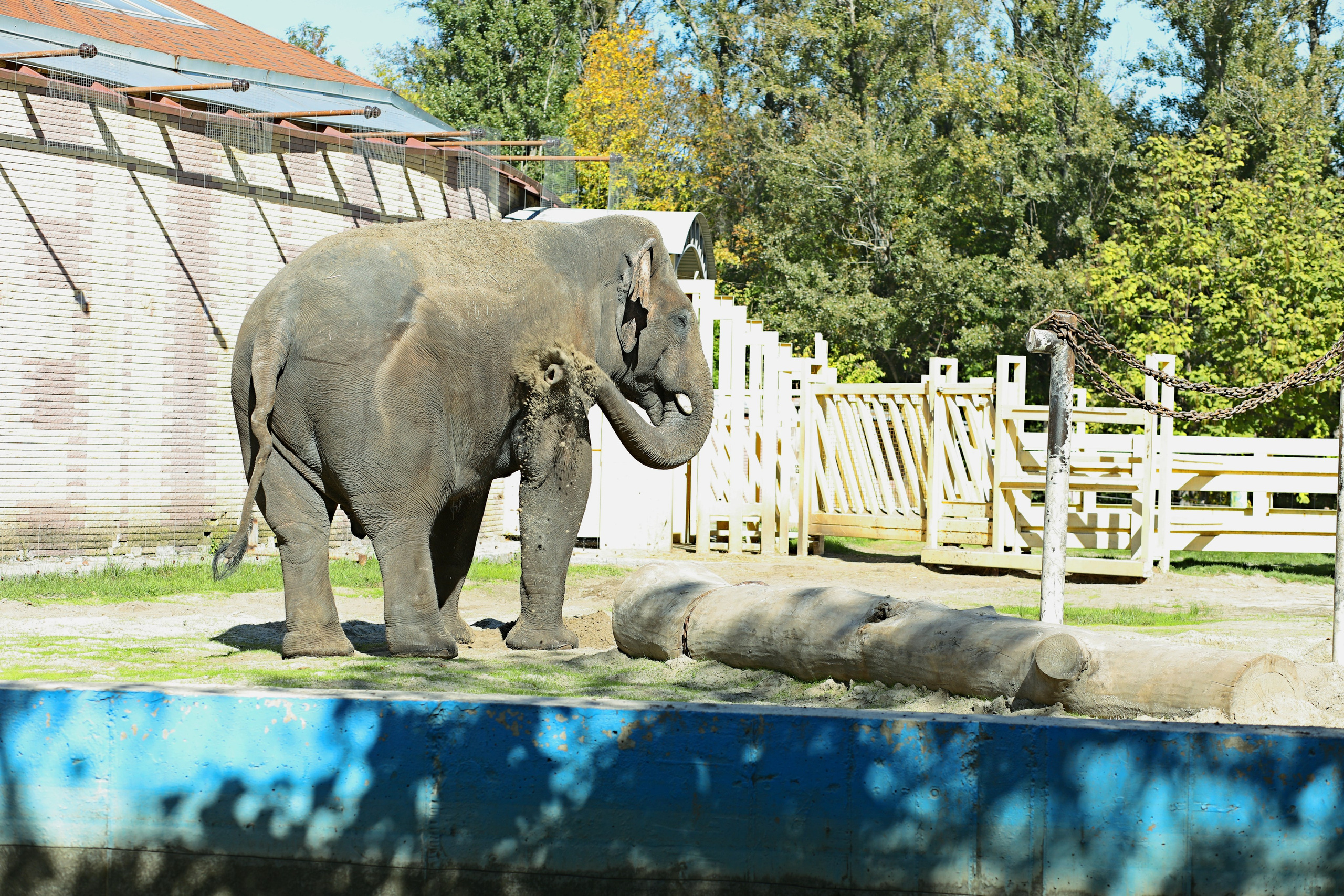 Ростовский зоопарк. Фото-художник и Репортажный фотограф Николаев Александр Алексеевич